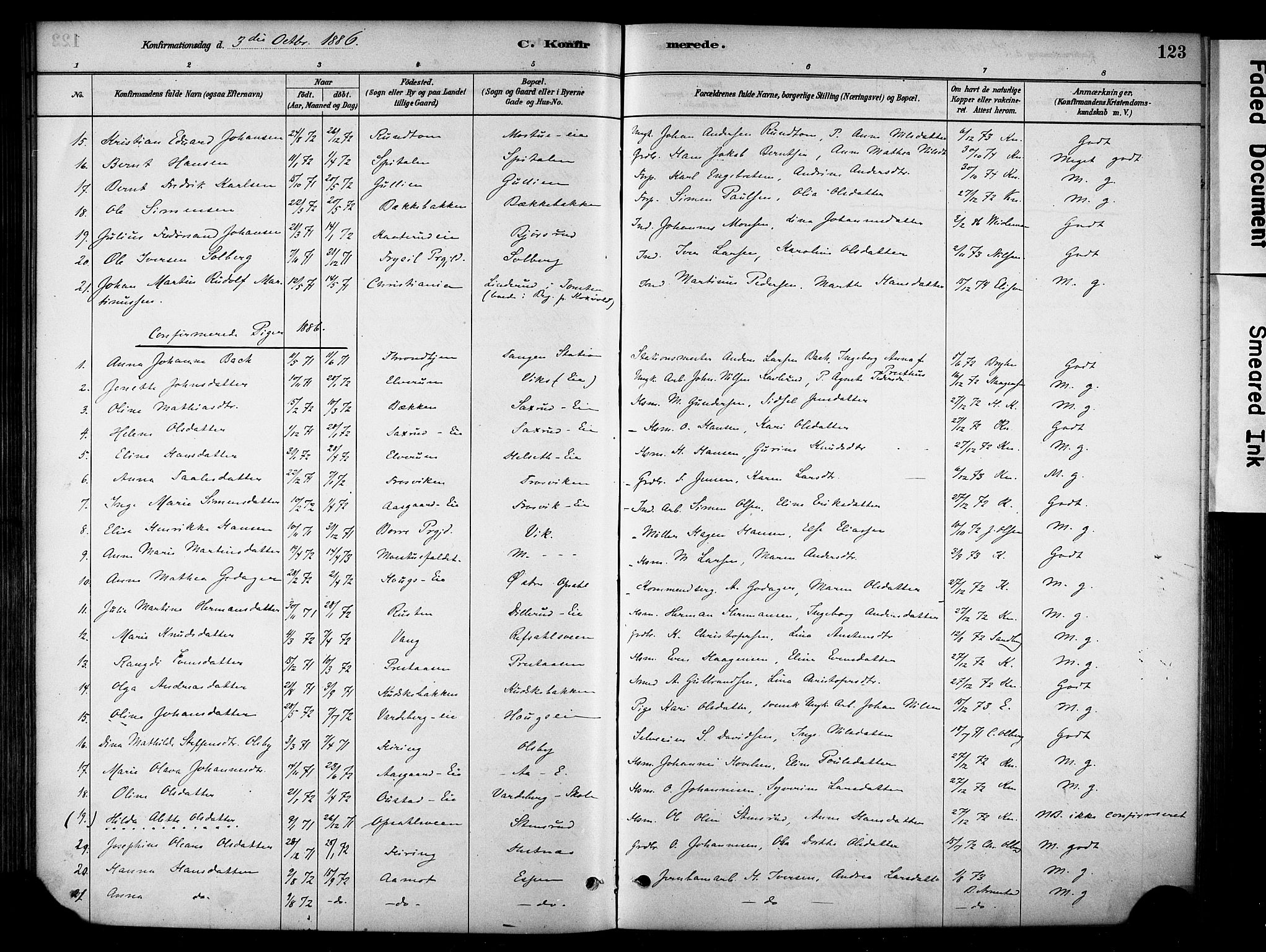 Stange prestekontor, SAH/PREST-002/K/L0018: Parish register (official) no. 18, 1880-1896, p. 123