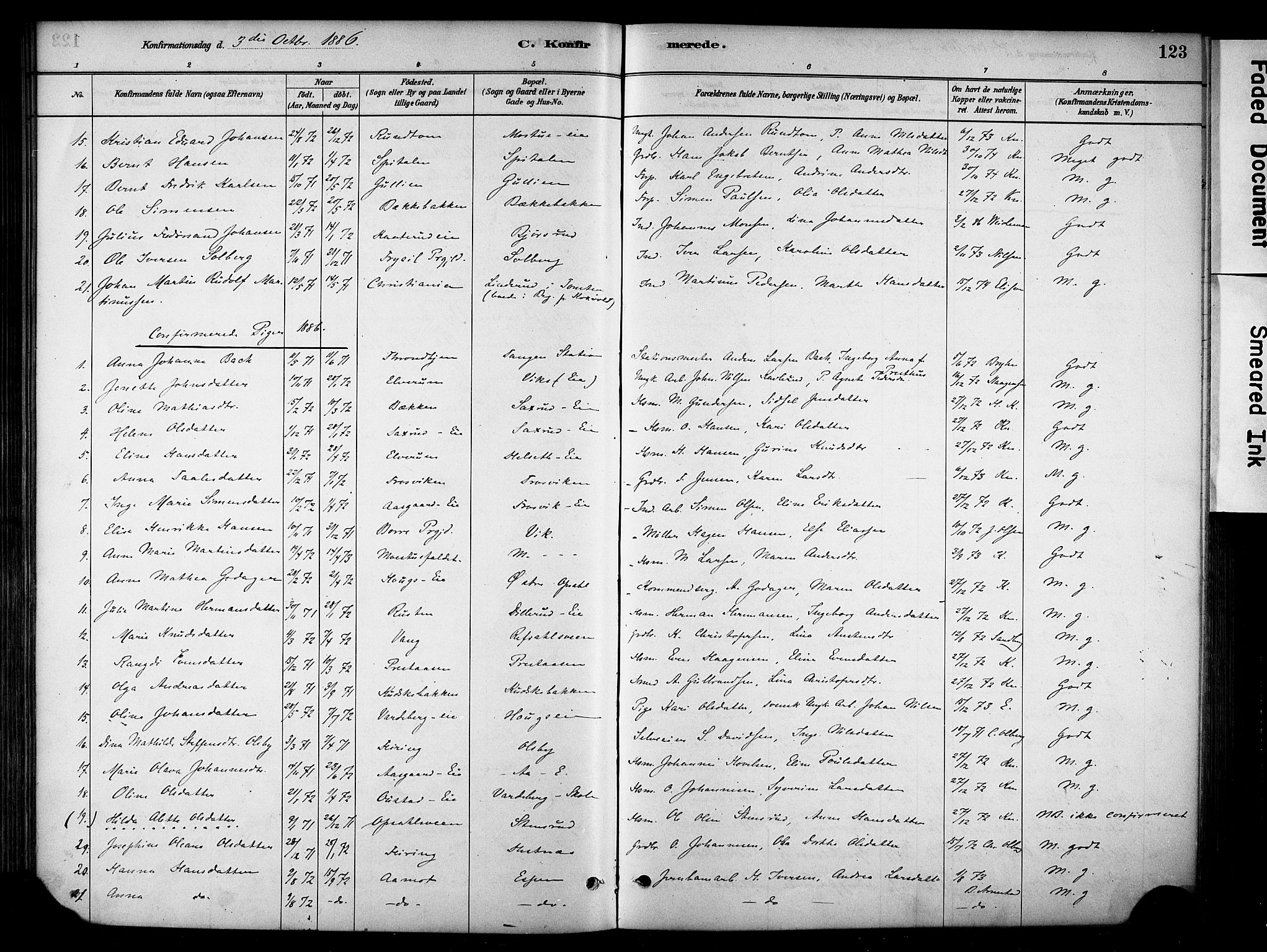 Stange prestekontor, AV/SAH-PREST-002/K/L0018: Parish register (official) no. 18, 1880-1896, p. 123