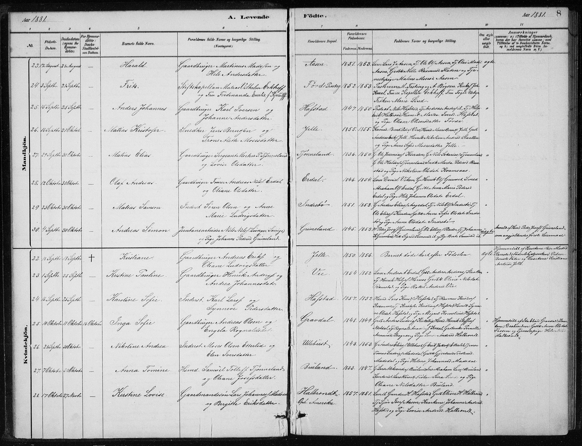 Førde sokneprestembete, AV/SAB-A-79901/H/Hab/Haba/L0002: Parish register (copy) no. A 2, 1881-1898, p. 8