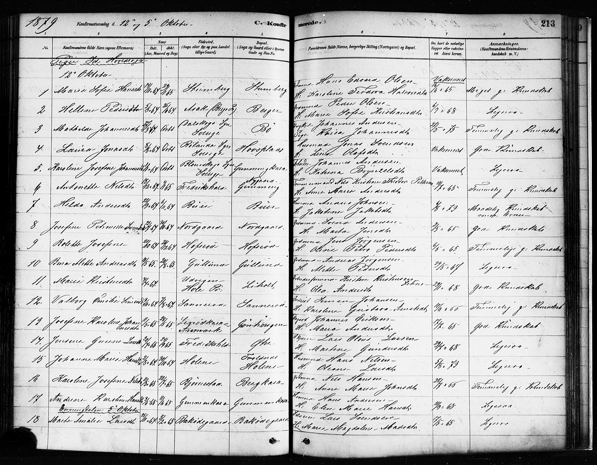 Idd prestekontor Kirkebøker, AV/SAO-A-10911/F/Fc/L0006a: Parish register (official) no. III 6A, 1878-1903, p. 213