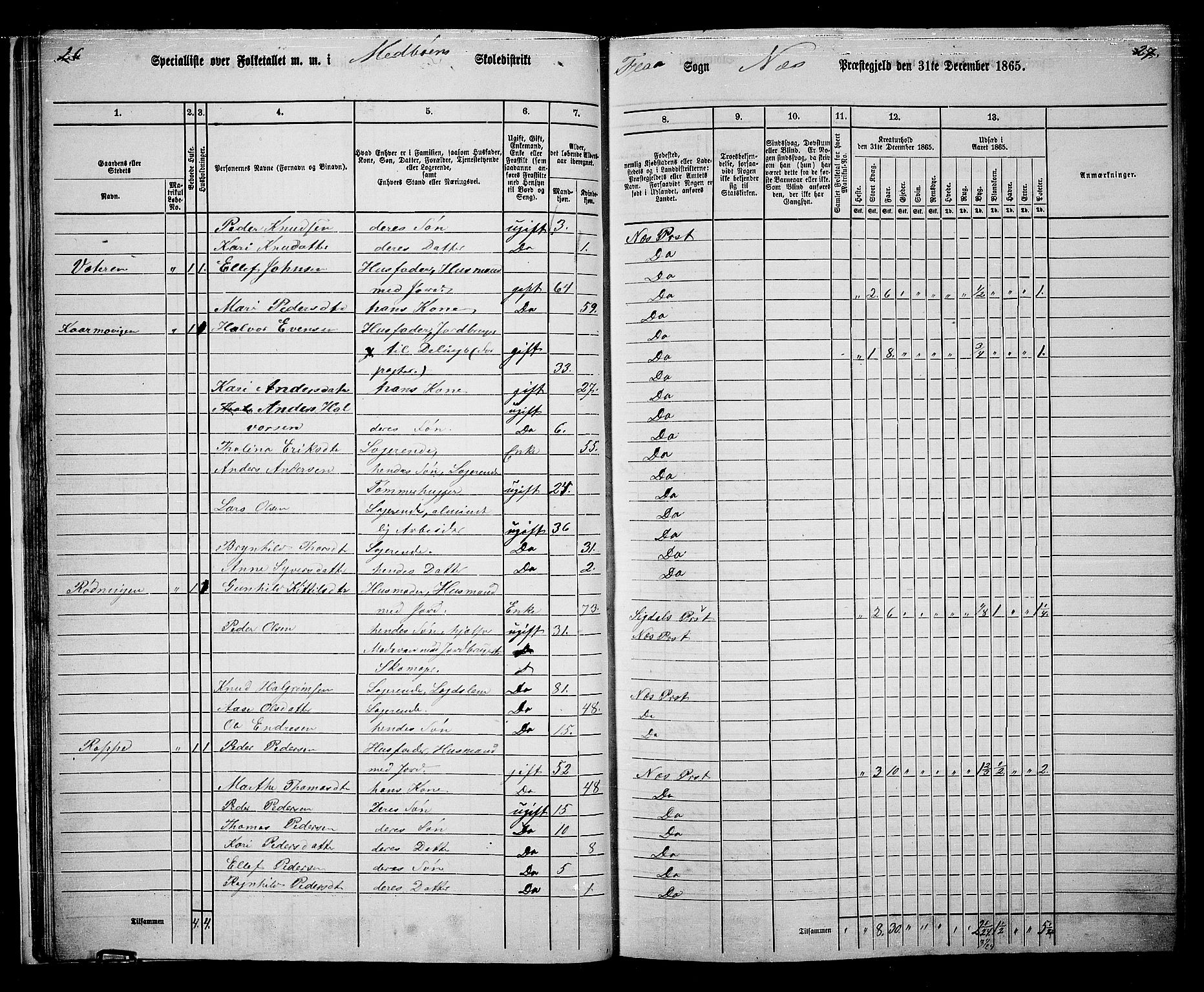 RA, 1865 census for Nes, 1865, p. 31