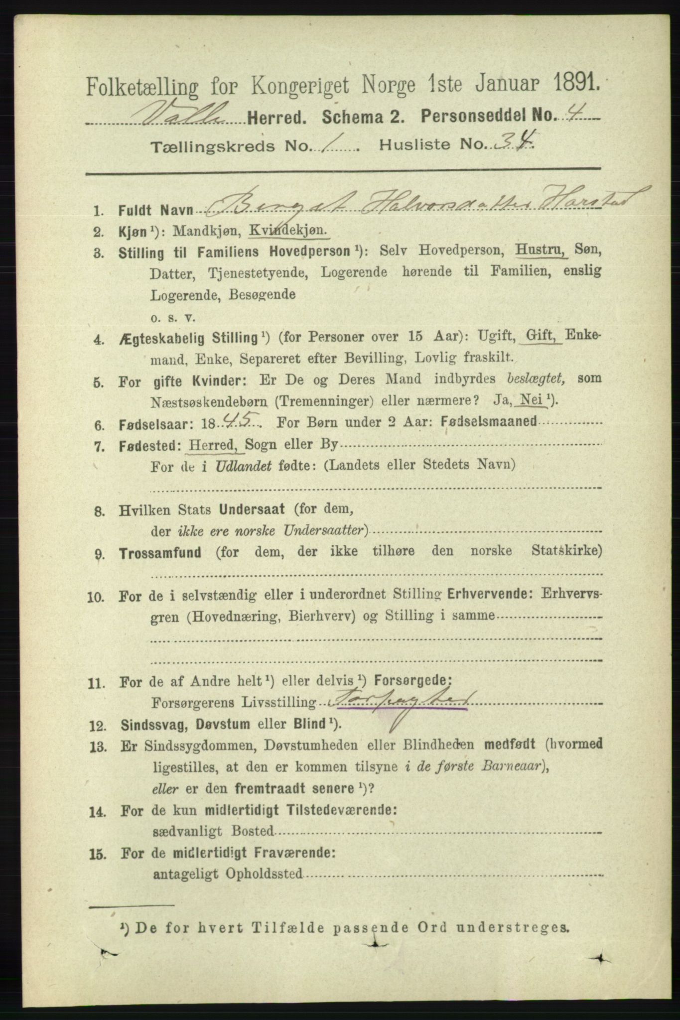 RA, 1891 census for 0940 Valle, 1891, p. 309