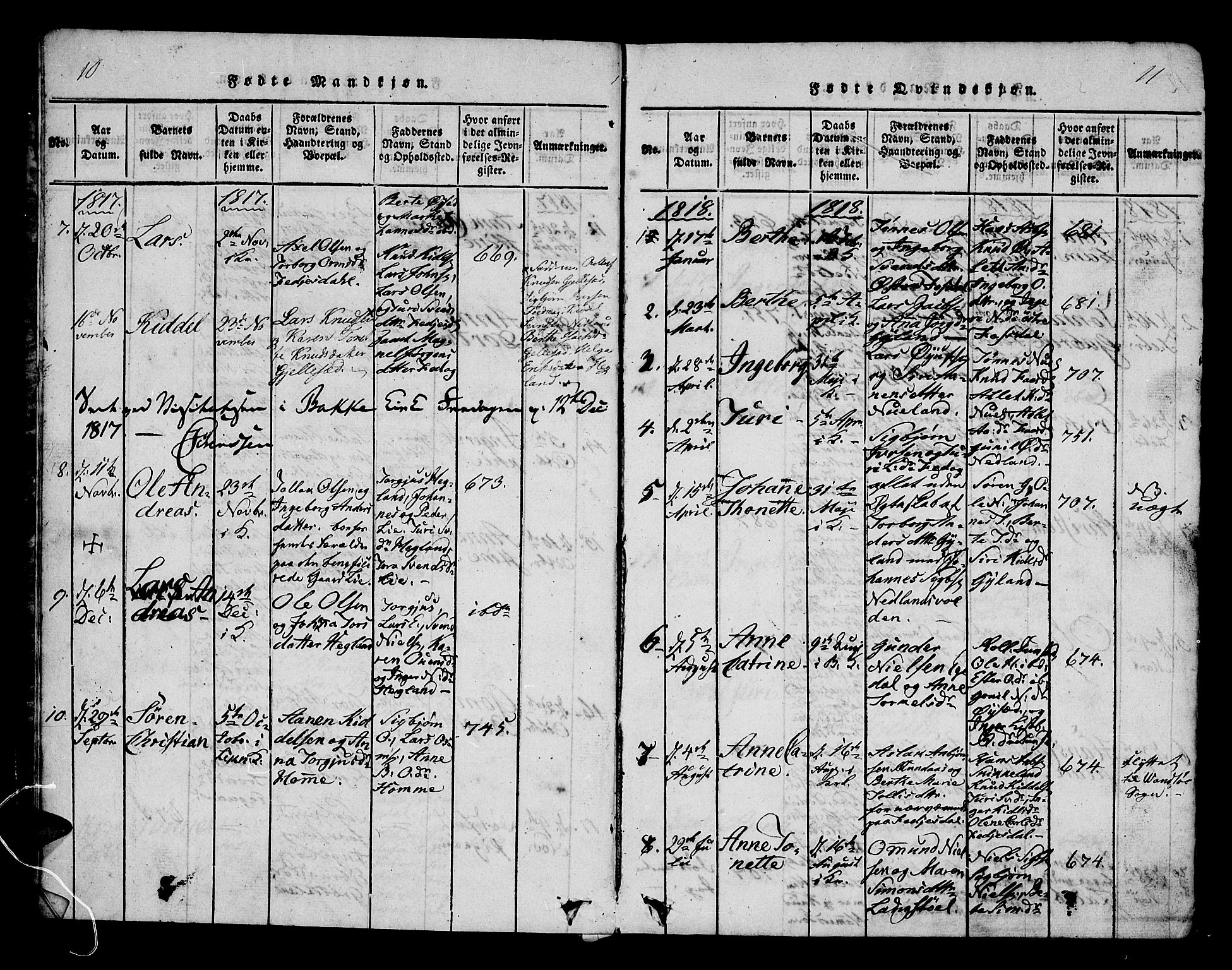Bakke sokneprestkontor, AV/SAK-1111-0002/F/Fa/Fab/L0001: Parish register (official) no. A 1, 1815-1835, p. 10-11