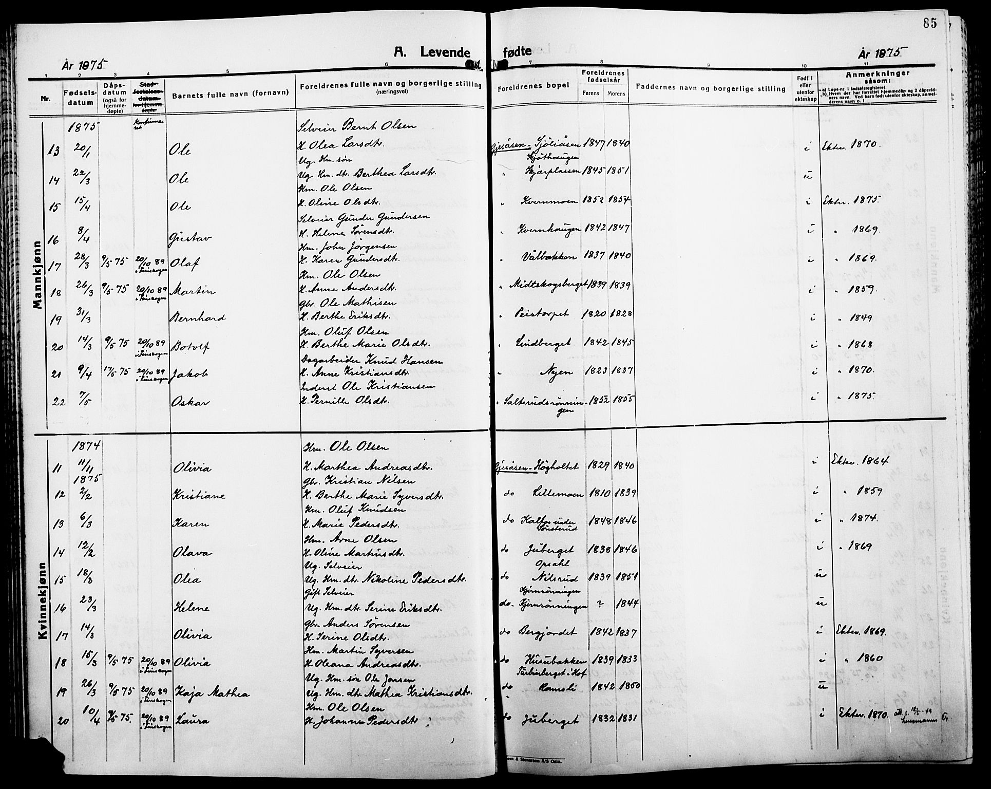 Åsnes prestekontor, SAH/PREST-042/H/Ha/Haa/L0000B: Parish register (official), 1870-1889, p. 85
