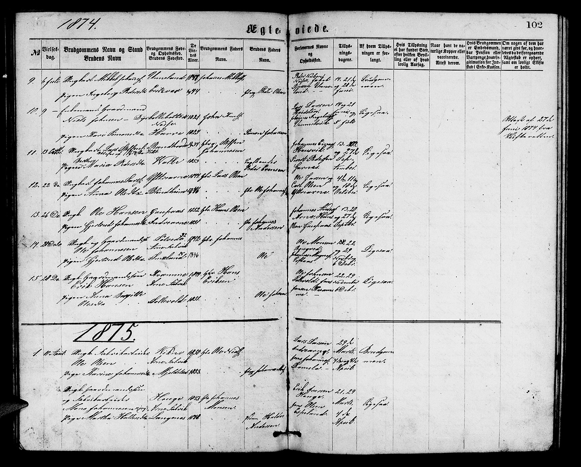 Arna Sokneprestembete, SAB/A-74001/H/Ha/Hab: Parish register (copy) no. A 1, 1869-1879, p. 102