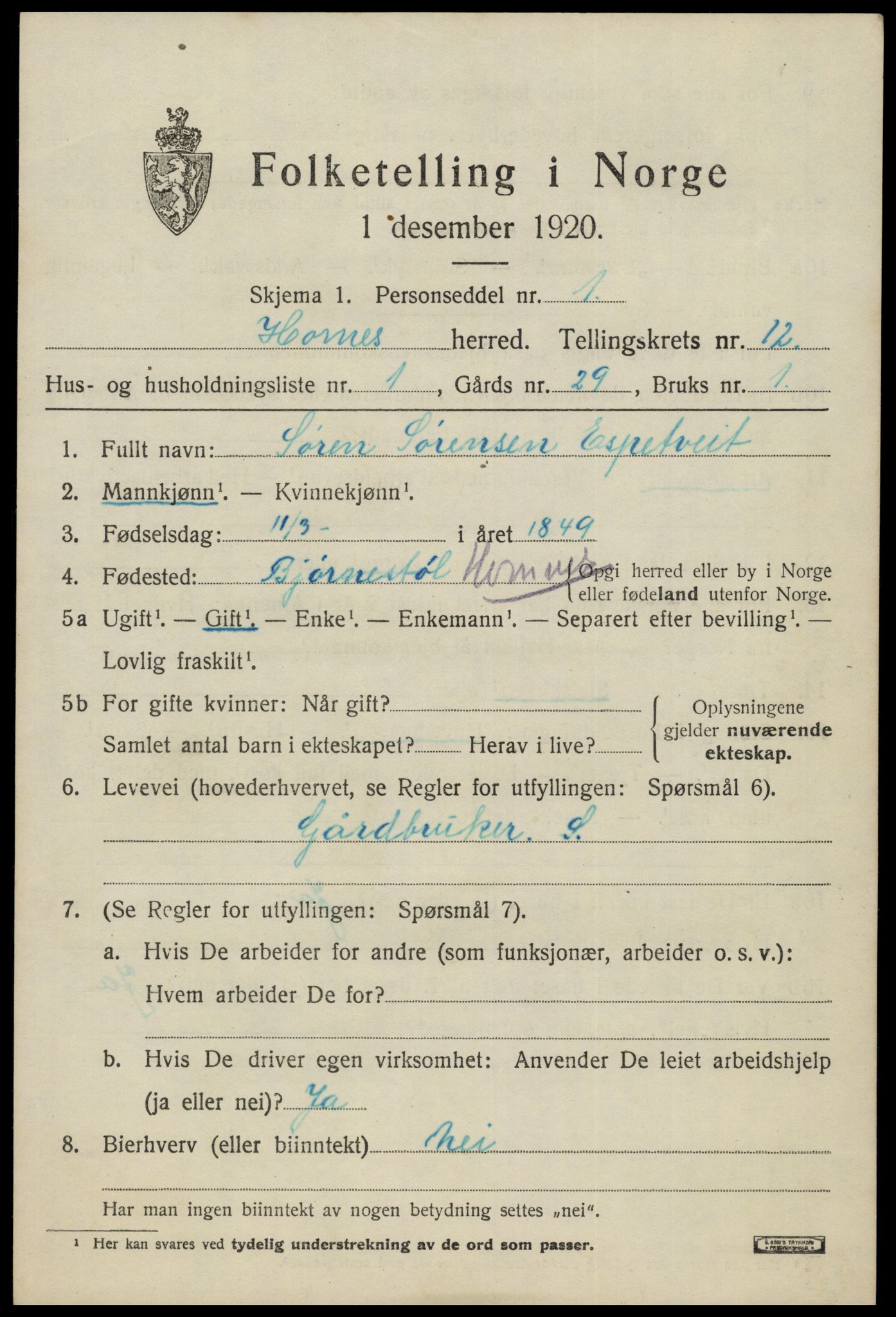 SAK, 1920 census for Hornnes, 1920, p. 2877