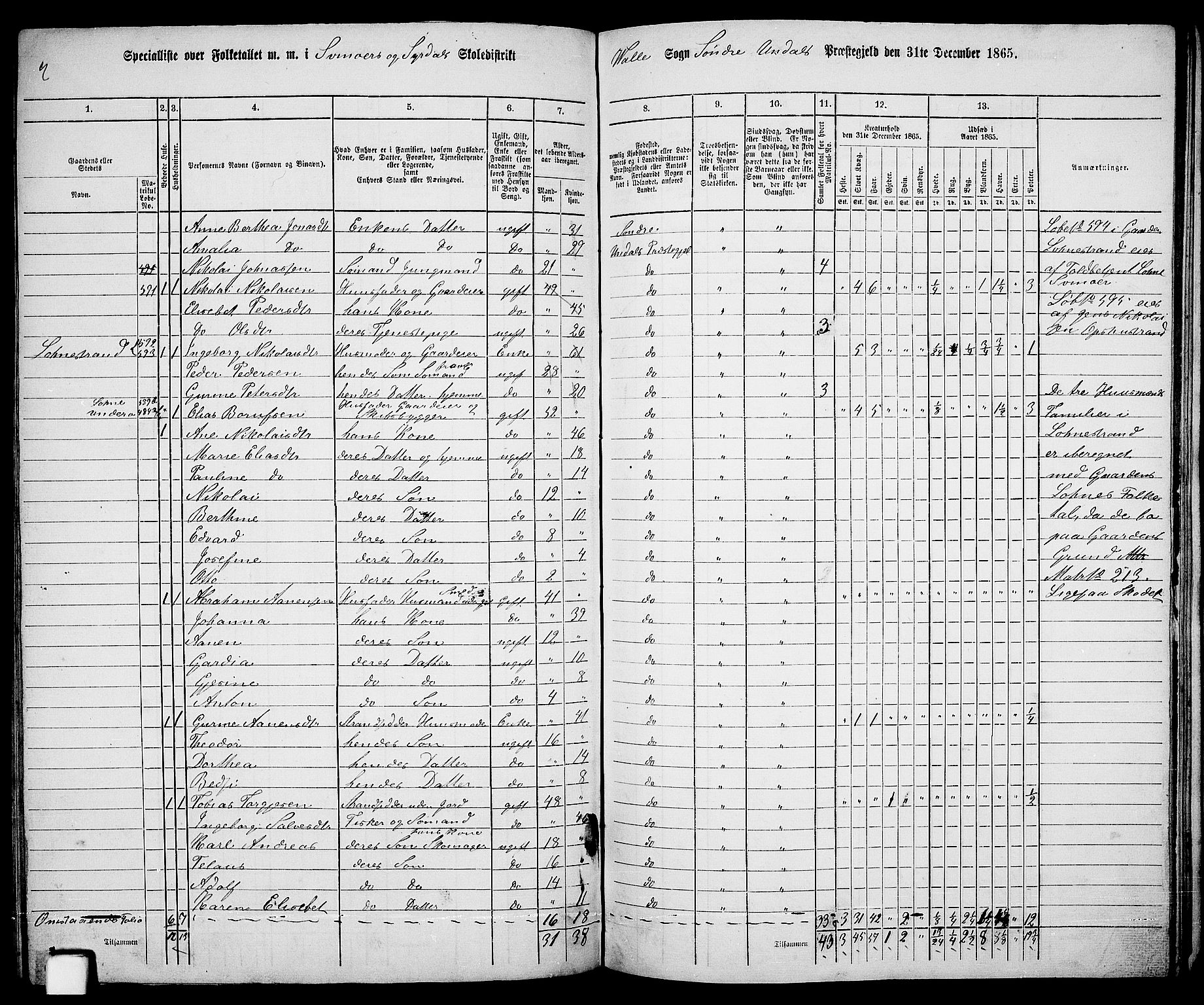 RA, 1865 census for Sør-Audnedal, 1865, p. 127