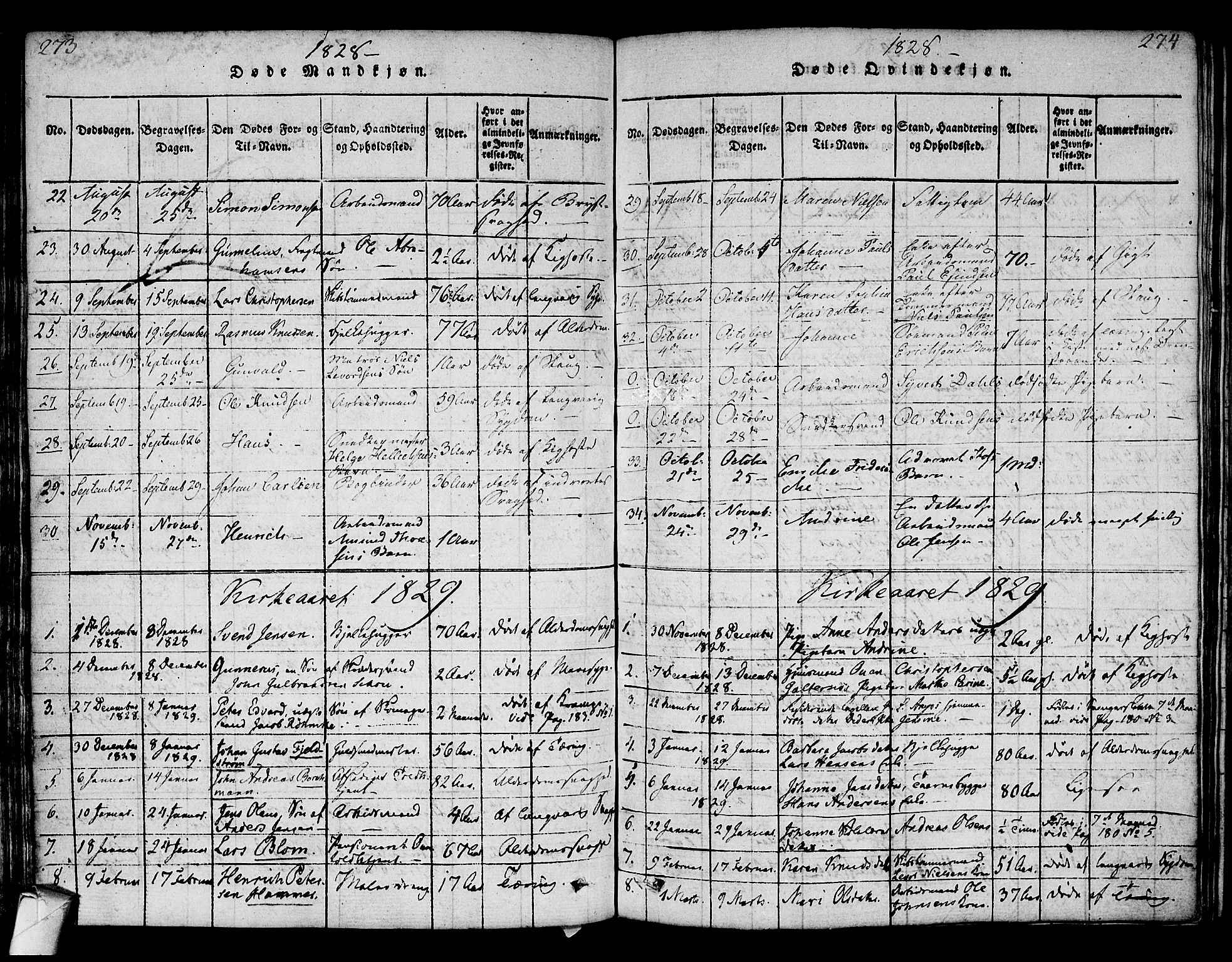 Strømsø kirkebøker, AV/SAKO-A-246/F/Fa/L0011: Parish register (official) no. I 11, 1815-1829, p. 273-274