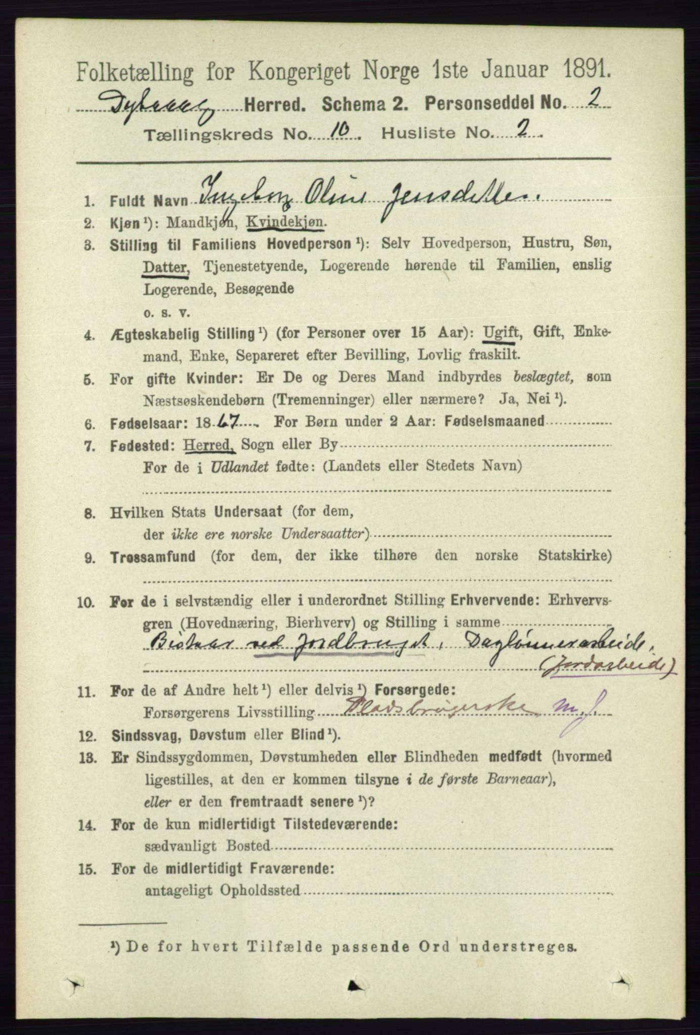 RA, 1891 census for 0915 Dypvåg, 1891, p. 3713