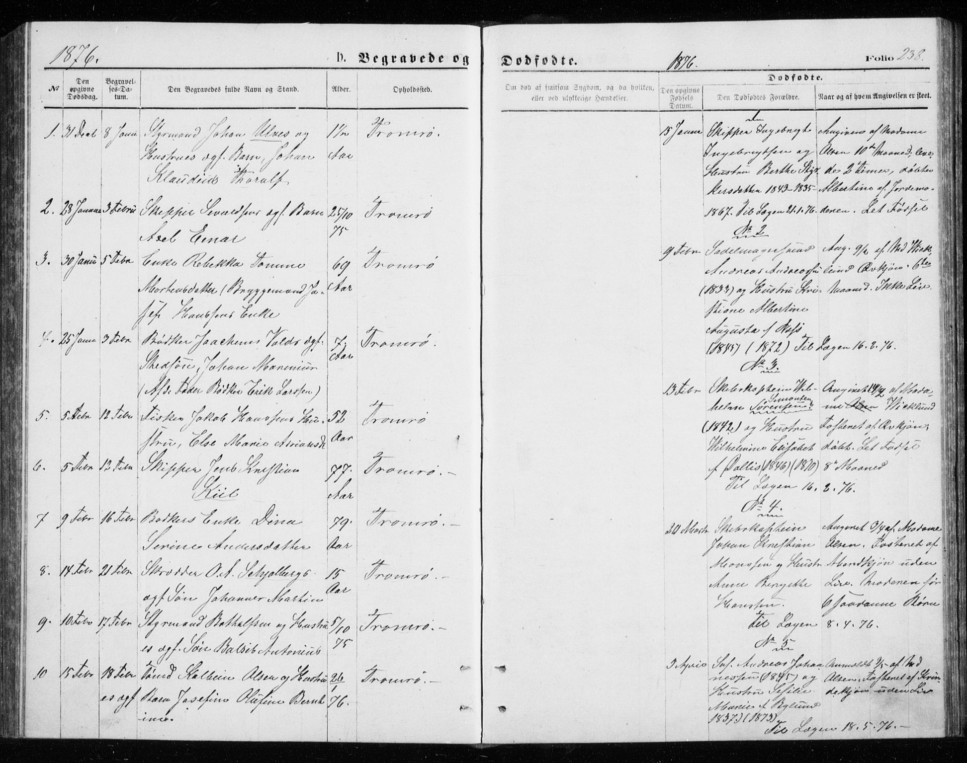 Tromsø sokneprestkontor/stiftsprosti/domprosti, SATØ/S-1343/G/Gb/L0008klokker: Parish register (copy) no. 8, 1875-1879, p. 238