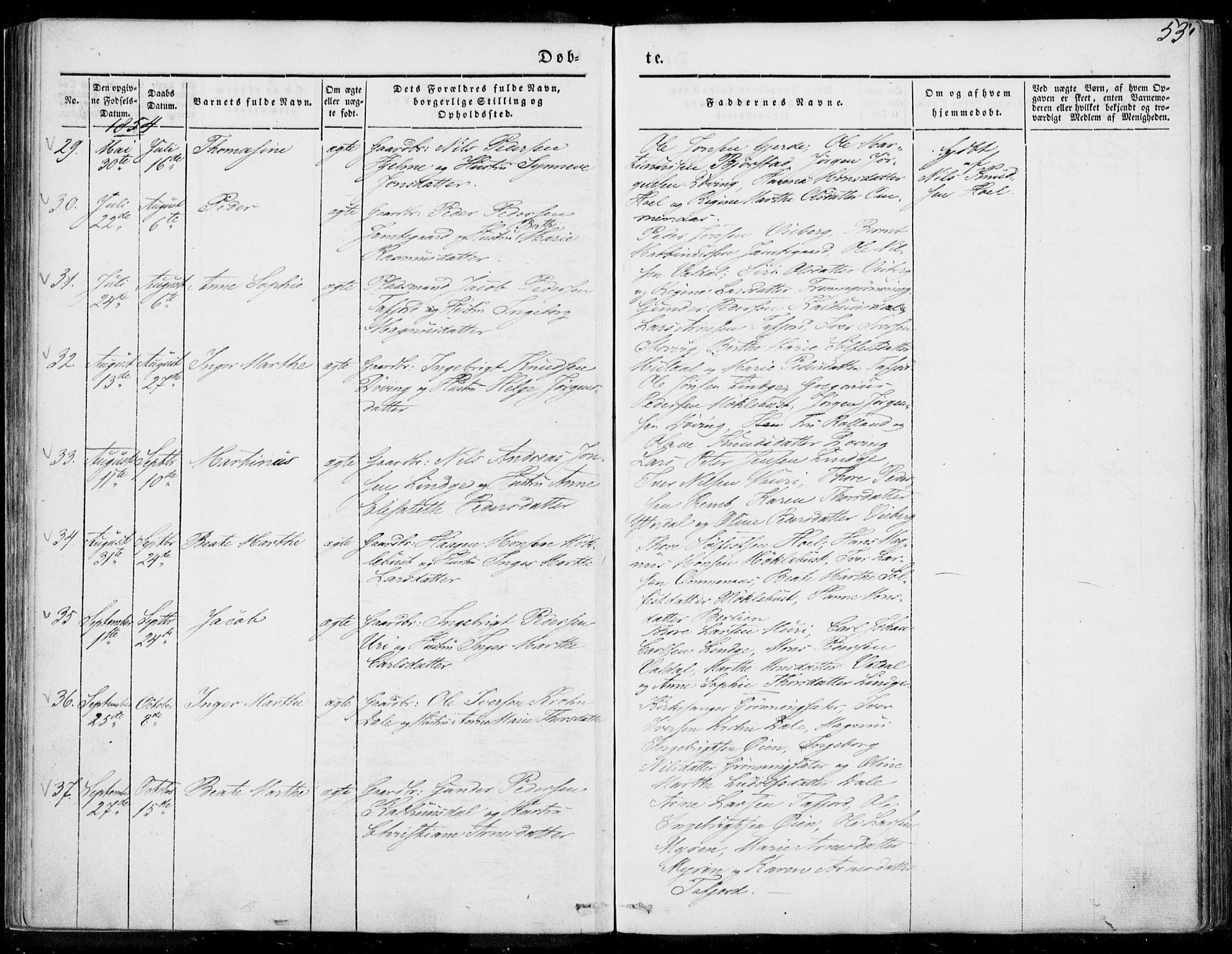 Ministerialprotokoller, klokkerbøker og fødselsregistre - Møre og Romsdal, AV/SAT-A-1454/519/L0249: Parish register (official) no. 519A08, 1846-1868, p. 53