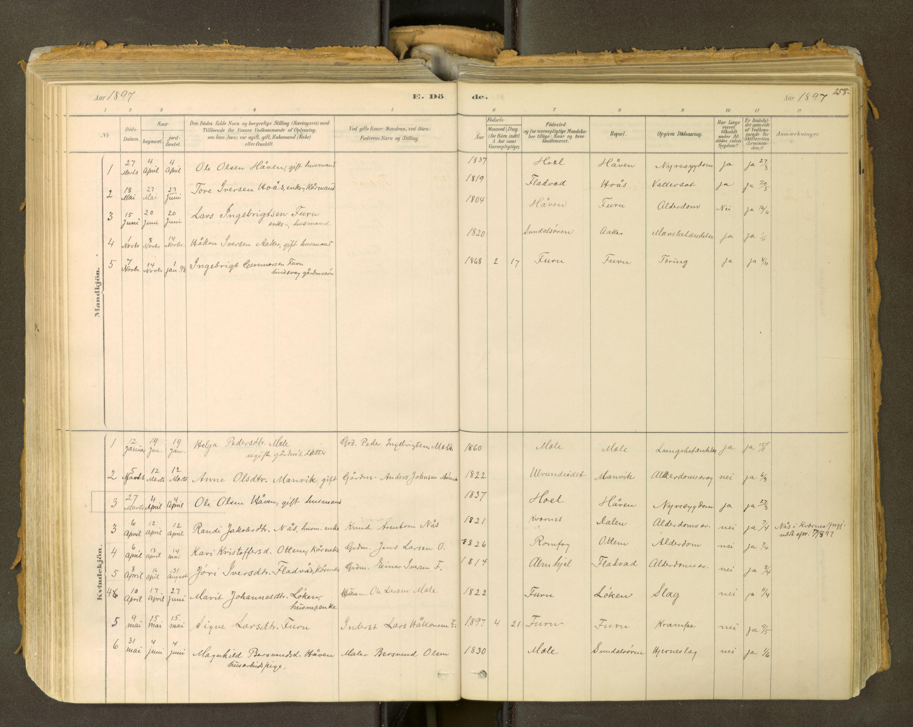Sunndal sokneprestkontor, SAT/A-1085/1/I/I1/I1a: Parish register (official) no. 2, 1877-1914, p. 258