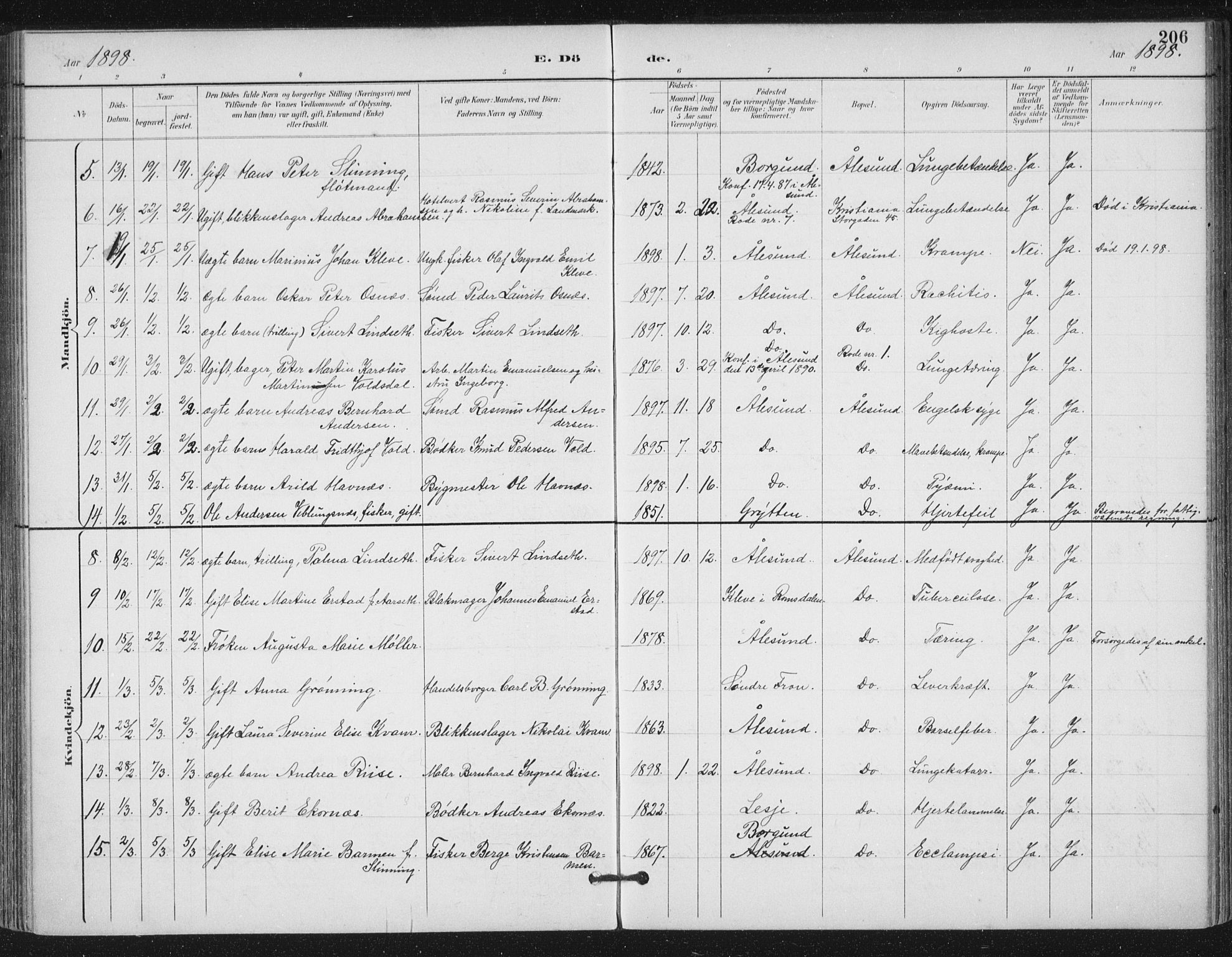 Ministerialprotokoller, klokkerbøker og fødselsregistre - Møre og Romsdal, AV/SAT-A-1454/529/L0457: Parish register (official) no. 529A07, 1894-1903, p. 206