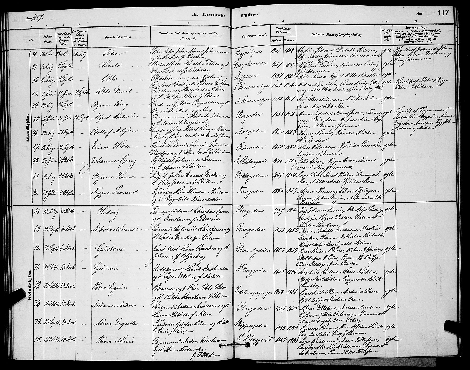 Horten kirkebøker, AV/SAKO-A-348/G/Ga/L0003: Parish register (copy) no. 4, 1878-1887, p. 117