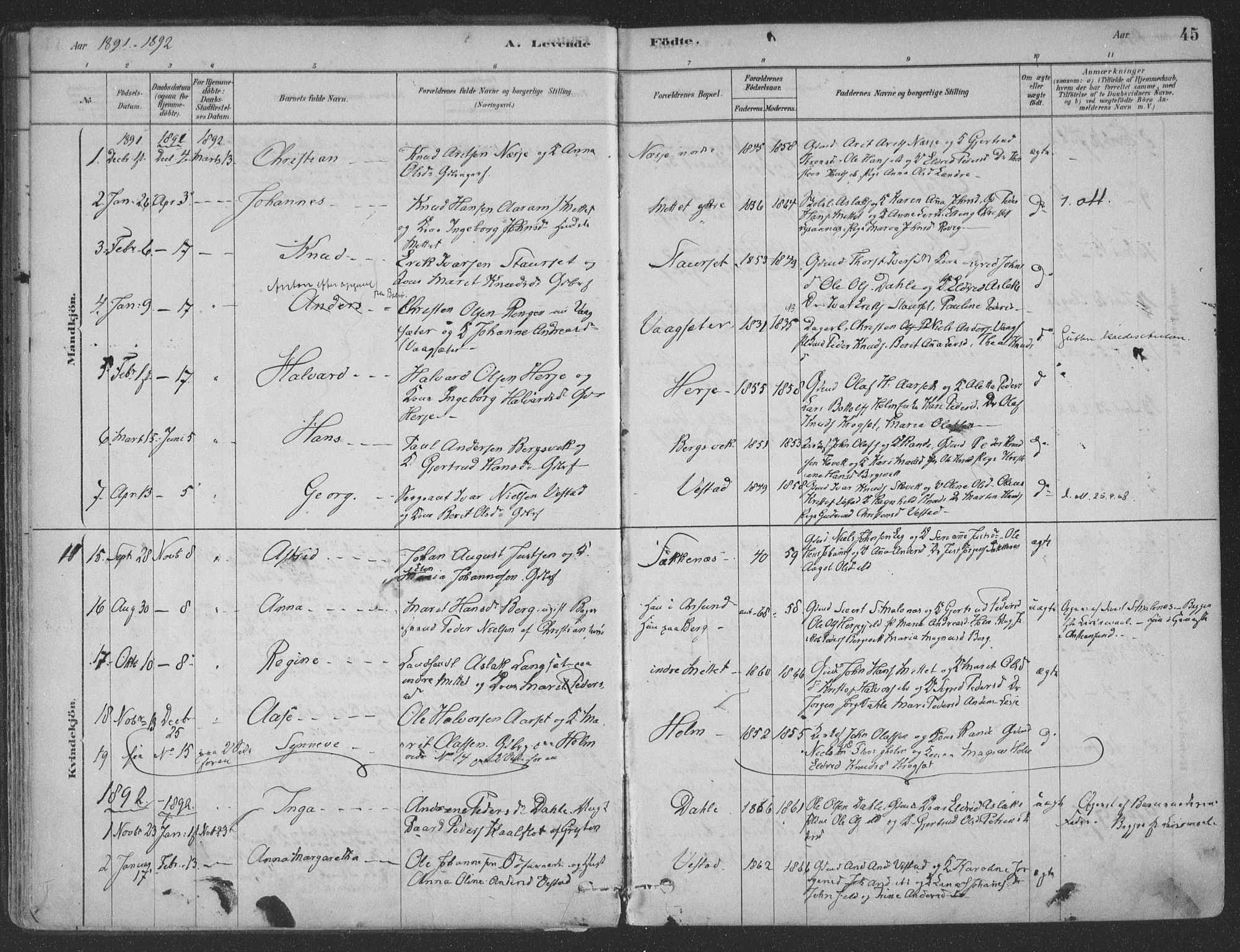 Ministerialprotokoller, klokkerbøker og fødselsregistre - Møre og Romsdal, SAT/A-1454/547/L0604: Parish register (official) no. 547A06, 1878-1906, p. 45