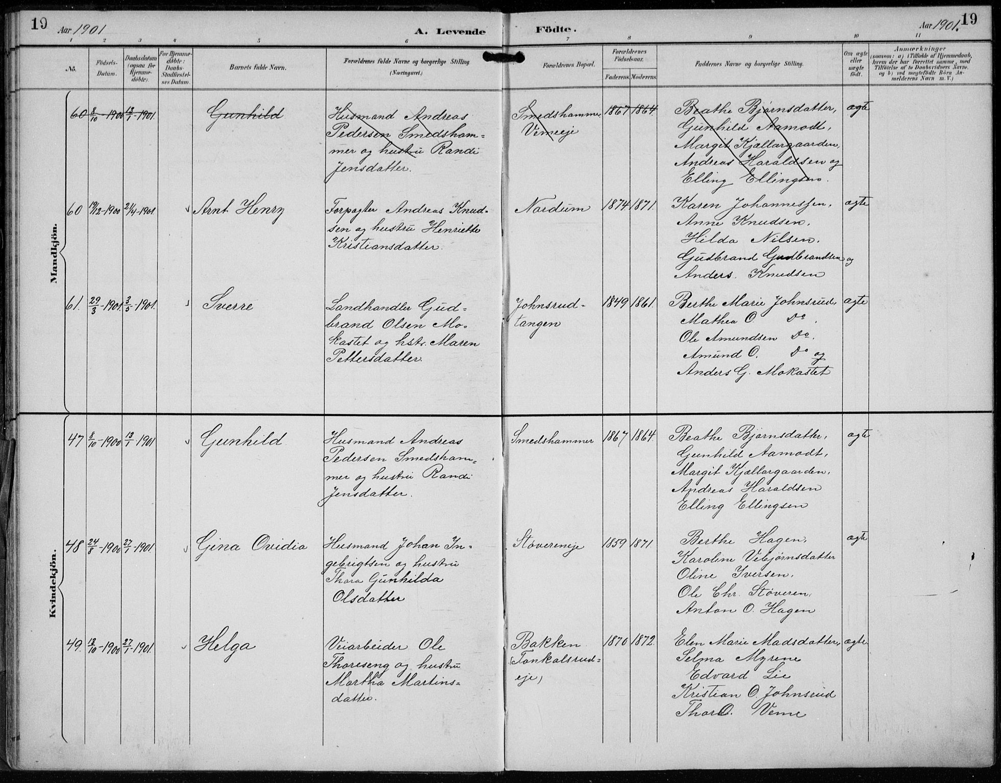 Lunder kirkebøker, AV/SAKO-A-629/F/Fb/L0001: Parish register (official) no. II 1, 1893-1916, p. 19