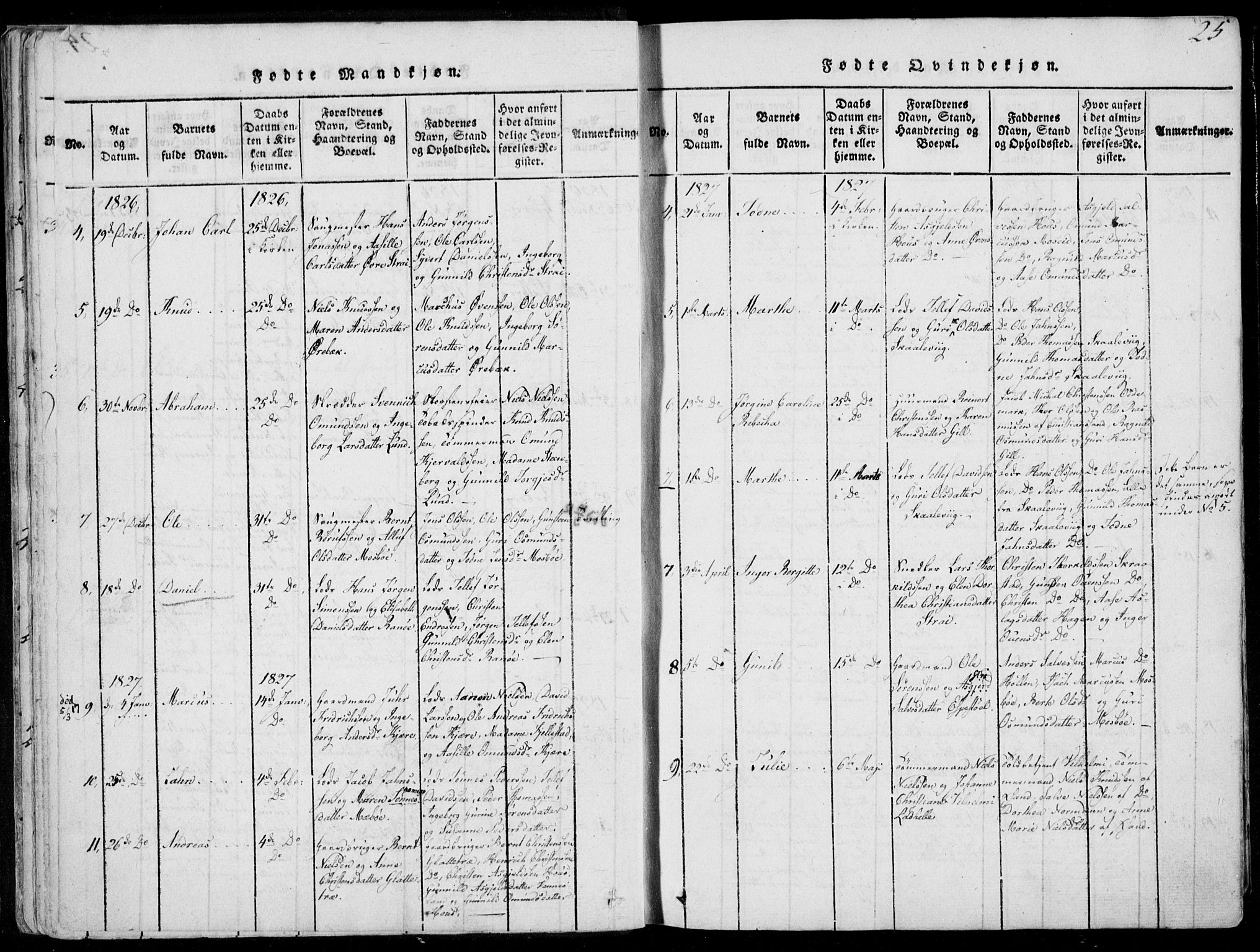 Oddernes sokneprestkontor, AV/SAK-1111-0033/F/Fa/Faa/L0005: Parish register (official) no. A 5, 1820-1838, p. 25