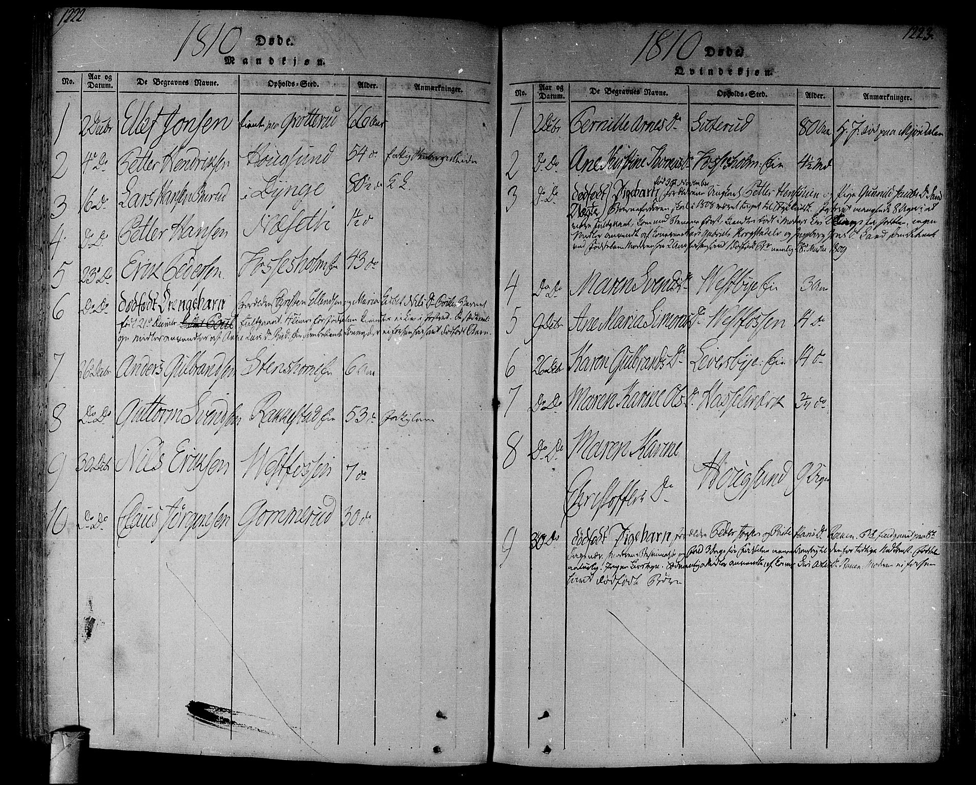 Eiker kirkebøker, SAKO/A-4/F/Fa/L0010: Parish register (official) no. I 10, 1806-1815, p. 1222-1223