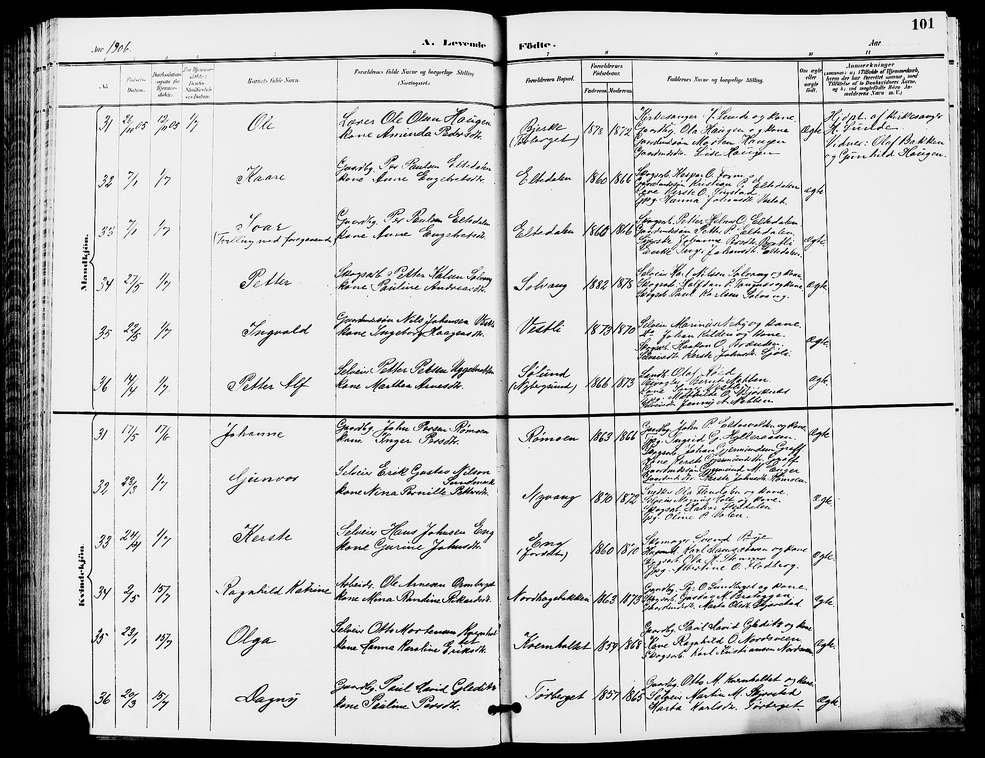 Trysil prestekontor, AV/SAH-PREST-046/H/Ha/Hab/L0006: Parish register (copy) no. 6, 1896-1912, p. 101