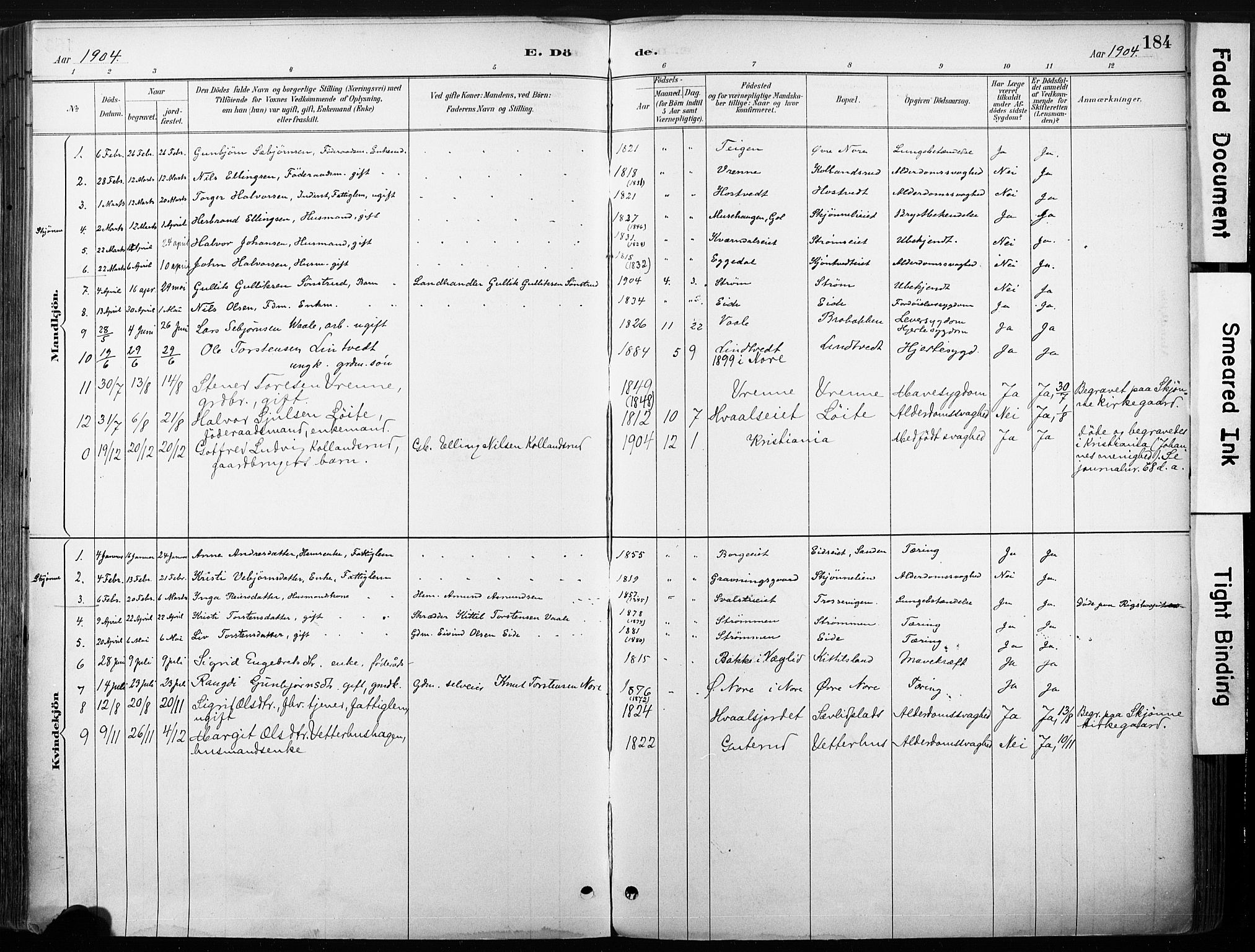 Nore kirkebøker, SAKO/A-238/F/Fb/L0002: Parish register (official) no. II 2, 1886-1906, p. 184