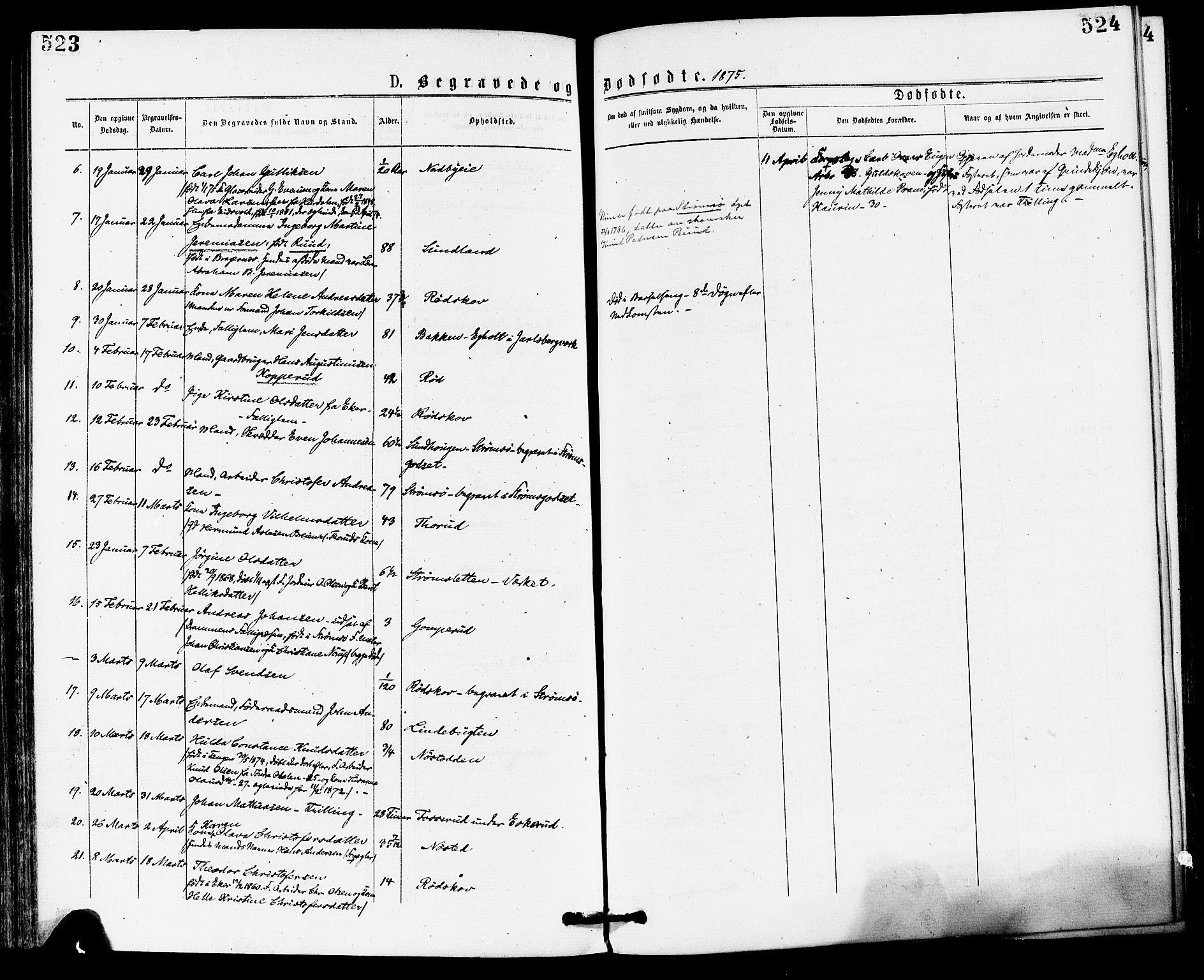 Skoger kirkebøker, AV/SAKO-A-59/F/Fa/L0005: Parish register (official) no. I 5, 1873-1884, p. 523-524