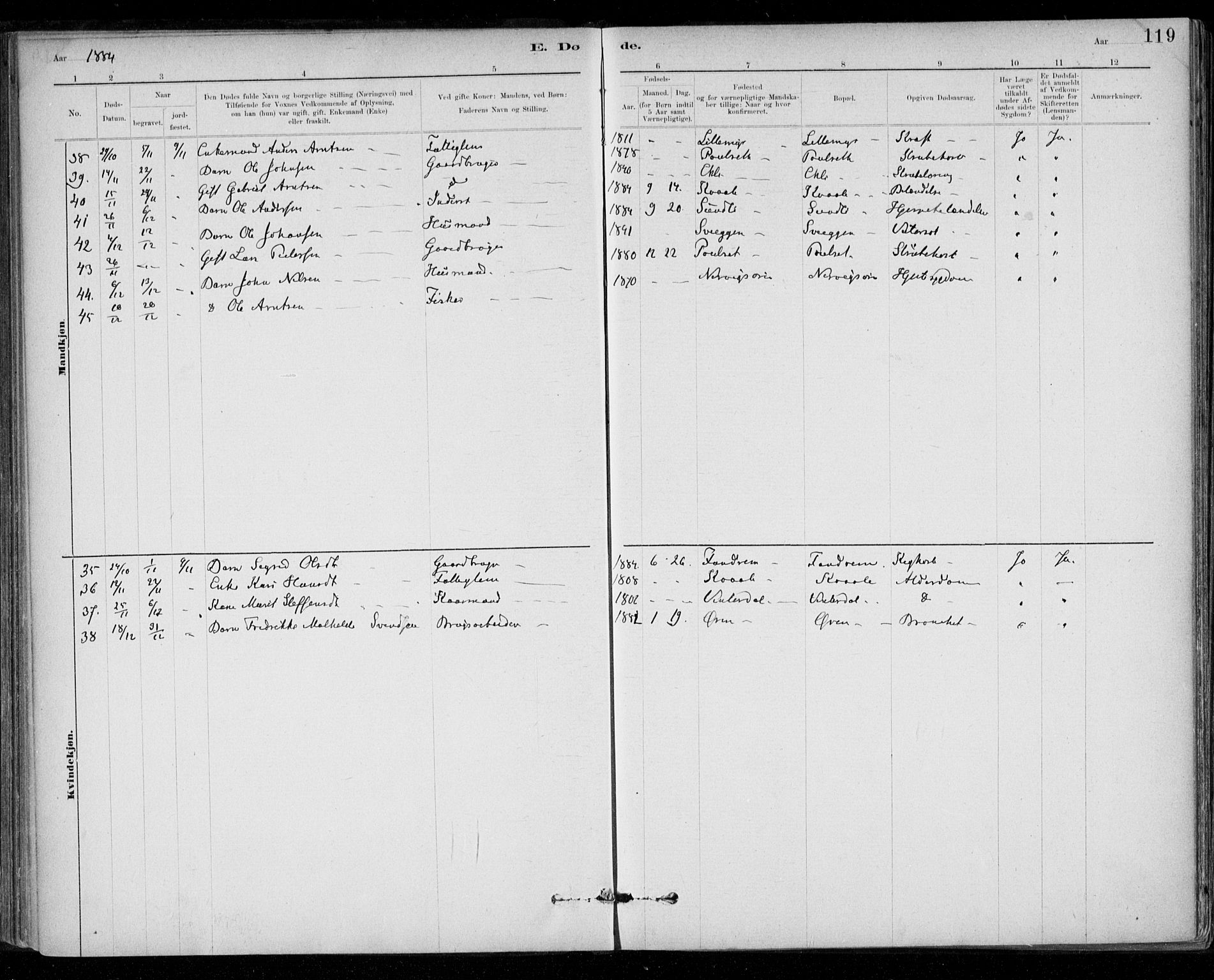 Ministerialprotokoller, klokkerbøker og fødselsregistre - Sør-Trøndelag, AV/SAT-A-1456/668/L0810: Parish register (official) no. 668A10, 1881-1894, p. 119