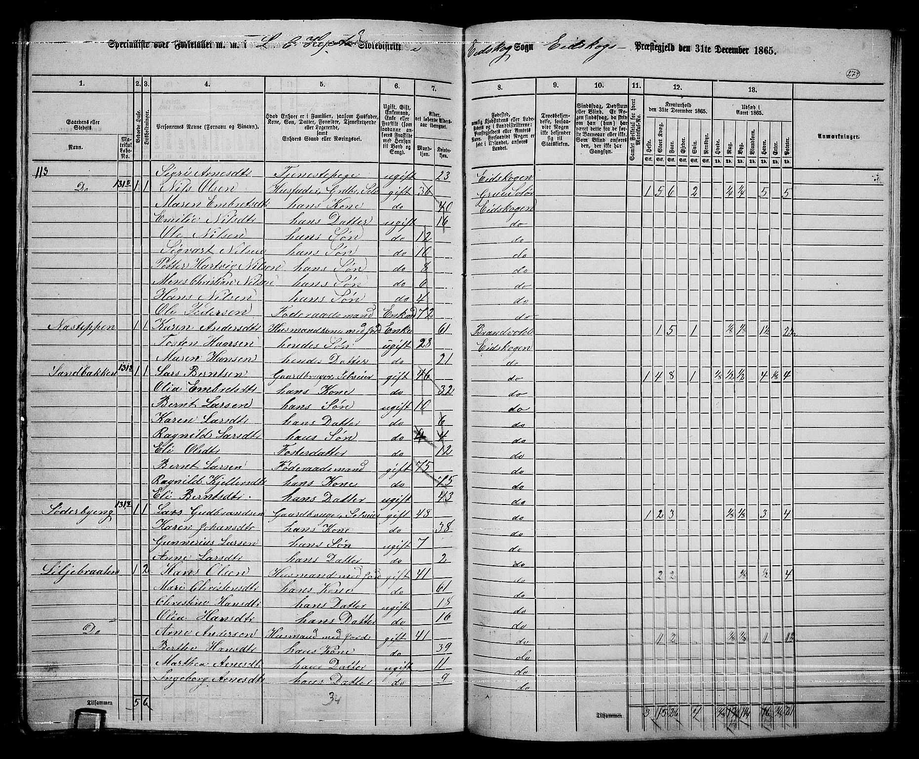 RA, 1865 census for Eidskog, 1865, p. 255