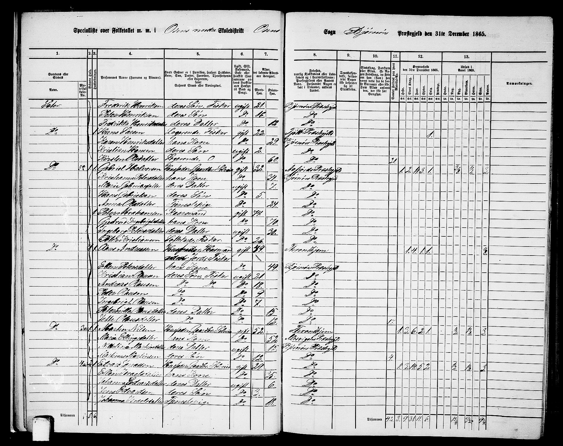 RA, 1865 census for Bjørnør, 1865, p. 13