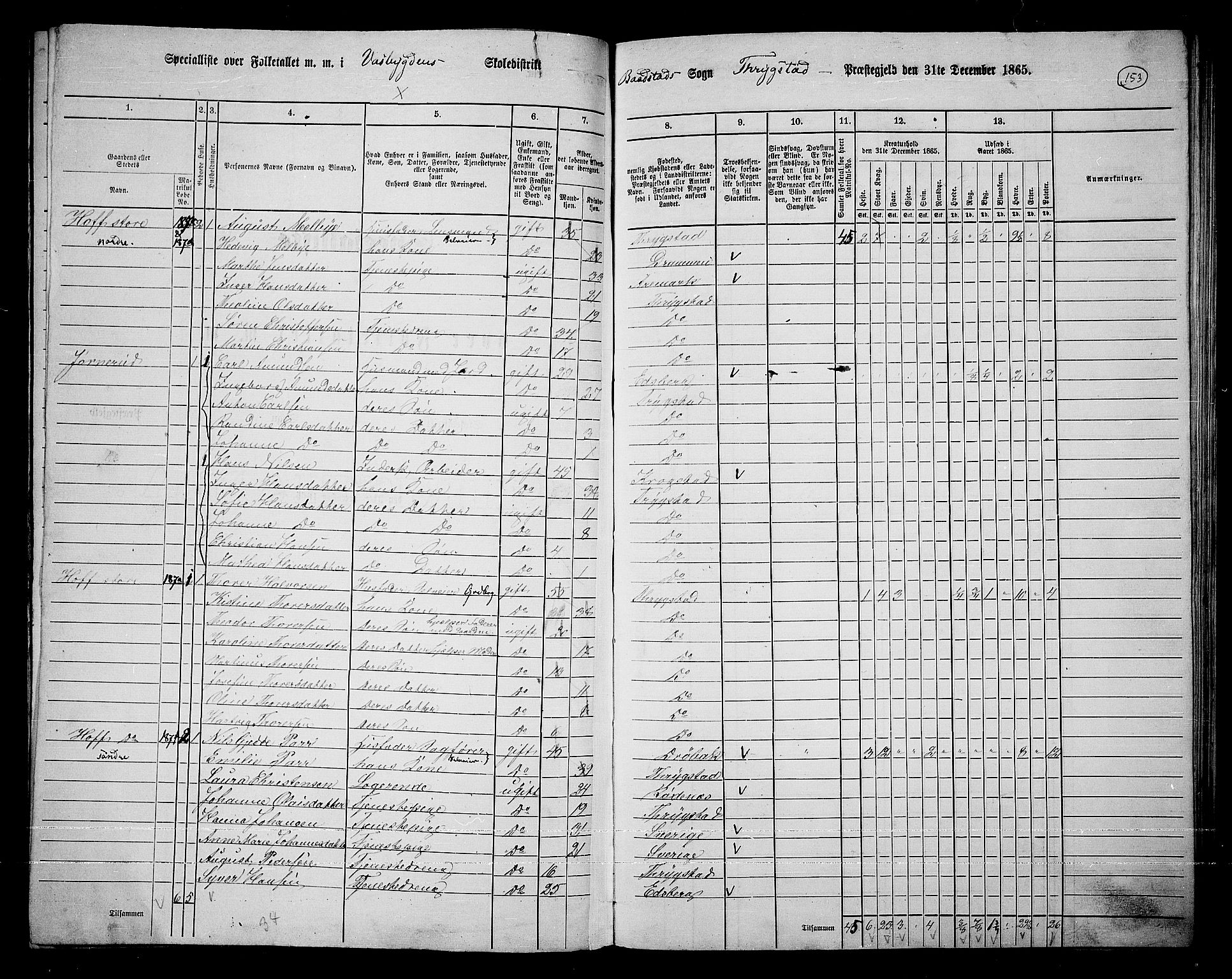 RA, 1865 census for Trøgstad, 1865, p. 133