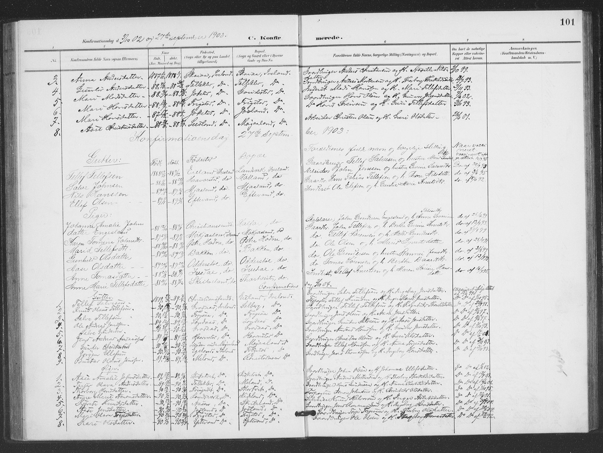 Evje sokneprestkontor, SAK/1111-0008/F/Fb/Fbc/L0005: Parish register (copy) no. B 5, 1901-1935, p. 101