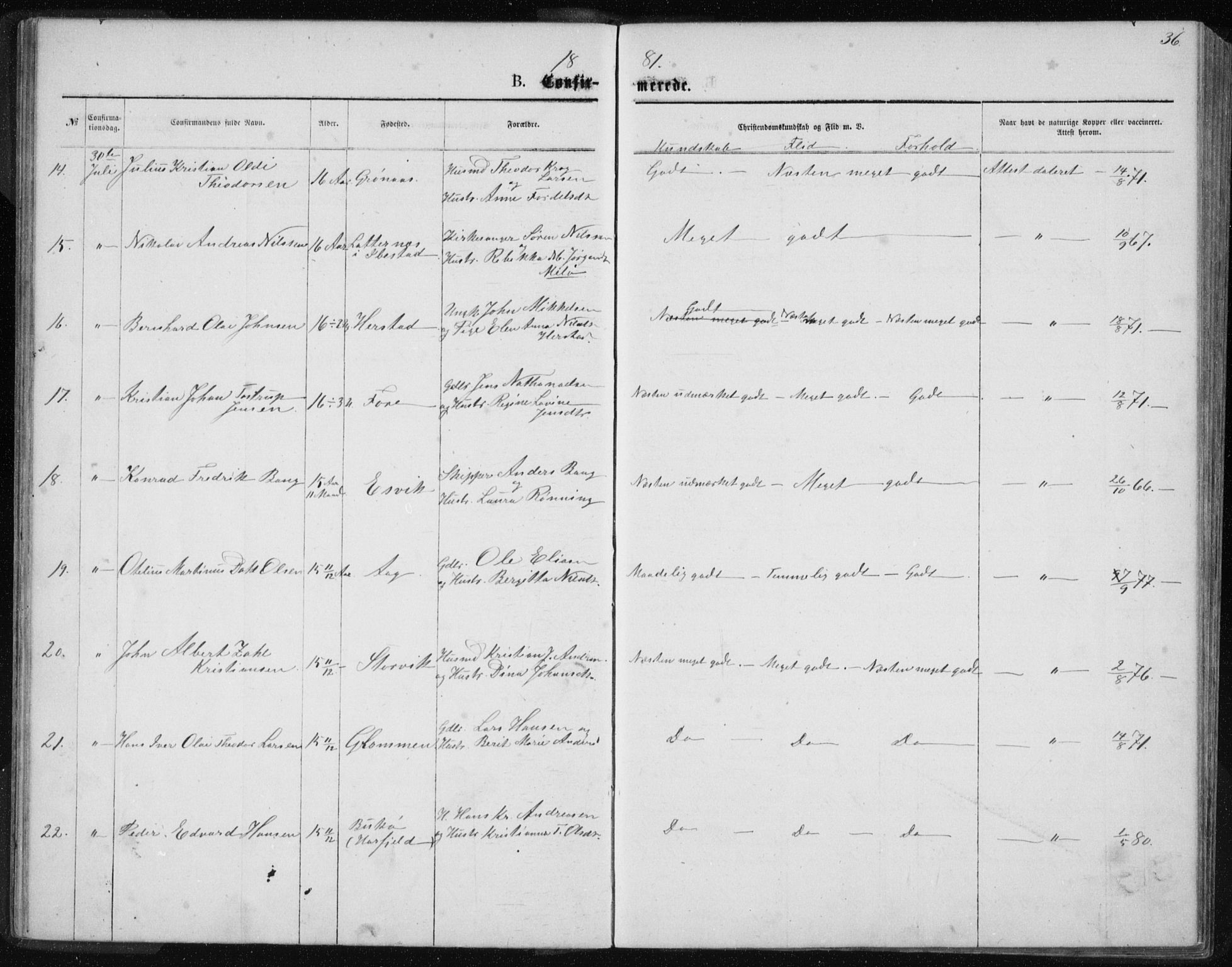 Ministerialprotokoller, klokkerbøker og fødselsregistre - Nordland, AV/SAT-A-1459/843/L0635: Parish register (copy) no. 843C04, 1872-1887, p. 36