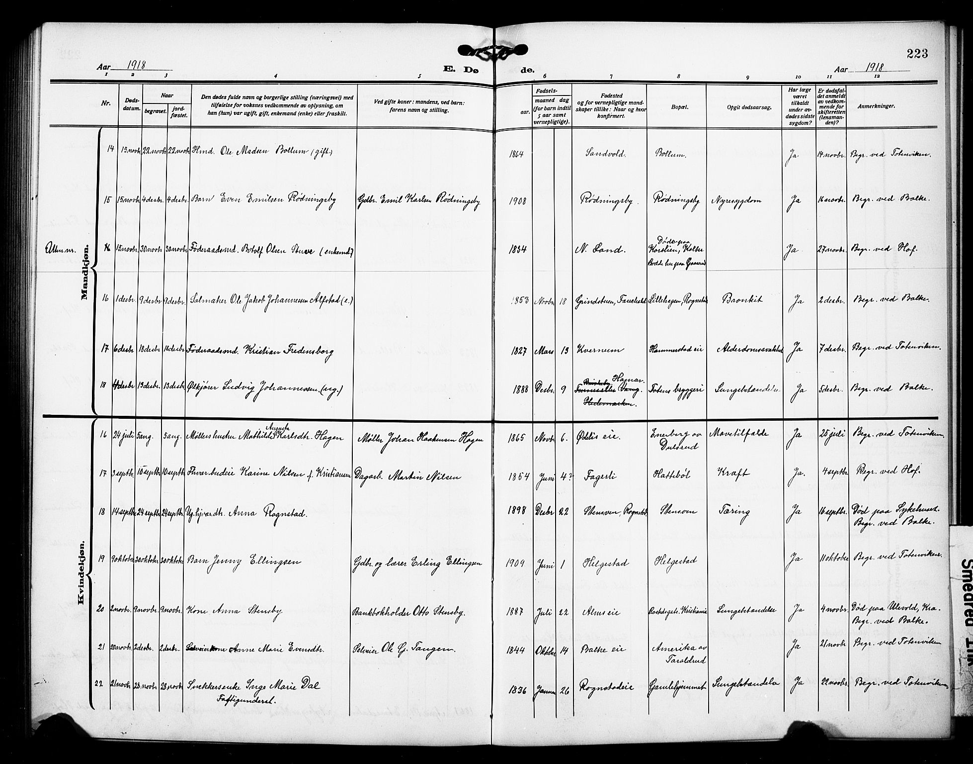 Østre Toten prestekontor, AV/SAH-PREST-104/H/Ha/Hab/L0008: Parish register (copy) no. 8, 1913-1929, p. 223