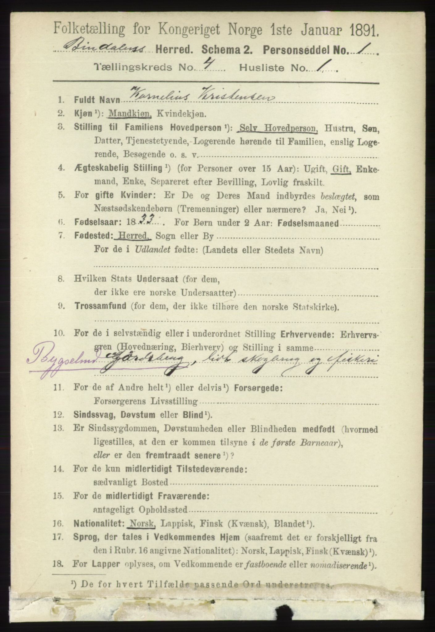 RA, 1891 census for 1811 Bindal, 1891, p. 1035