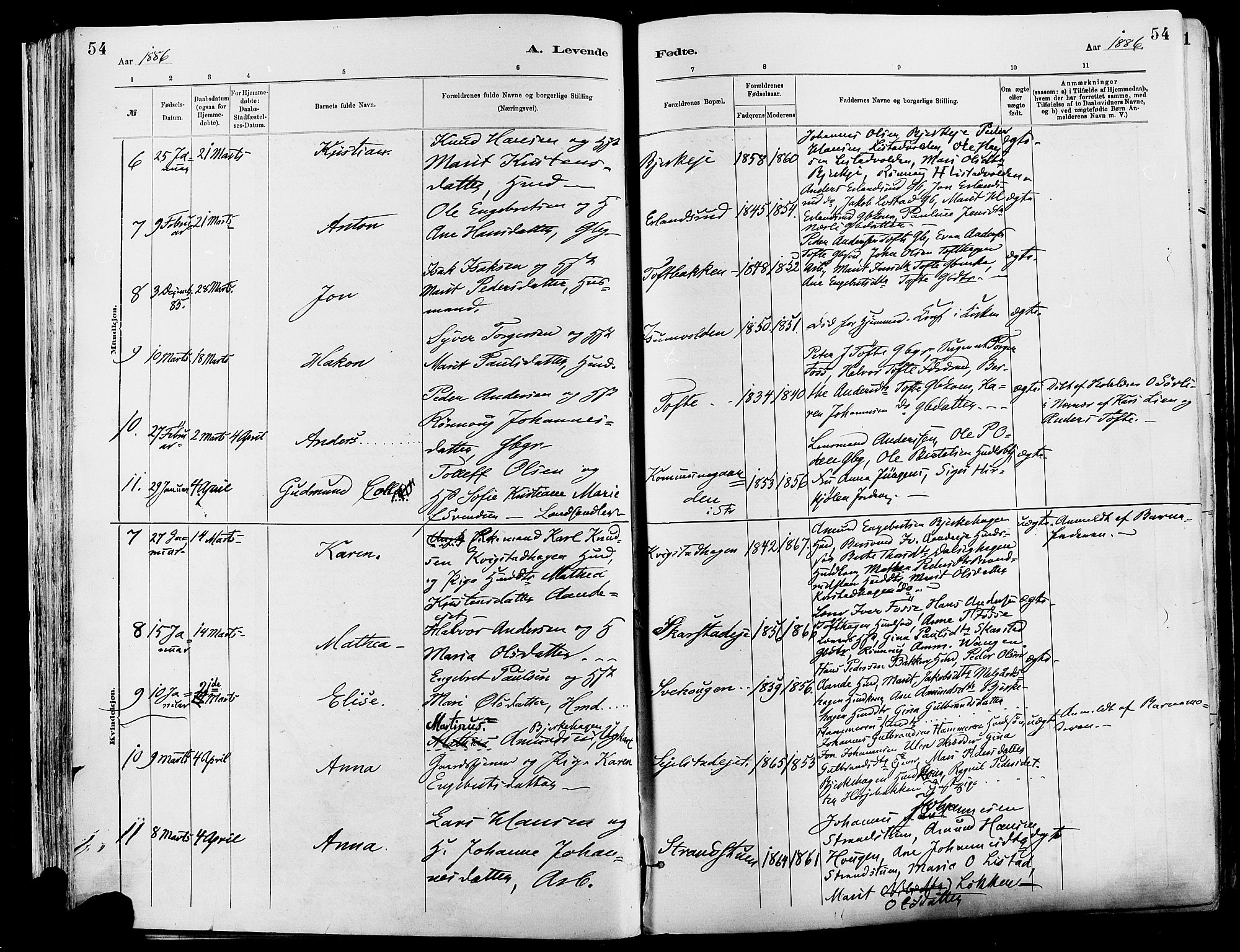 Sør-Fron prestekontor, SAH/PREST-010/H/Ha/Haa/L0003: Parish register (official) no. 3, 1881-1897, p. 54