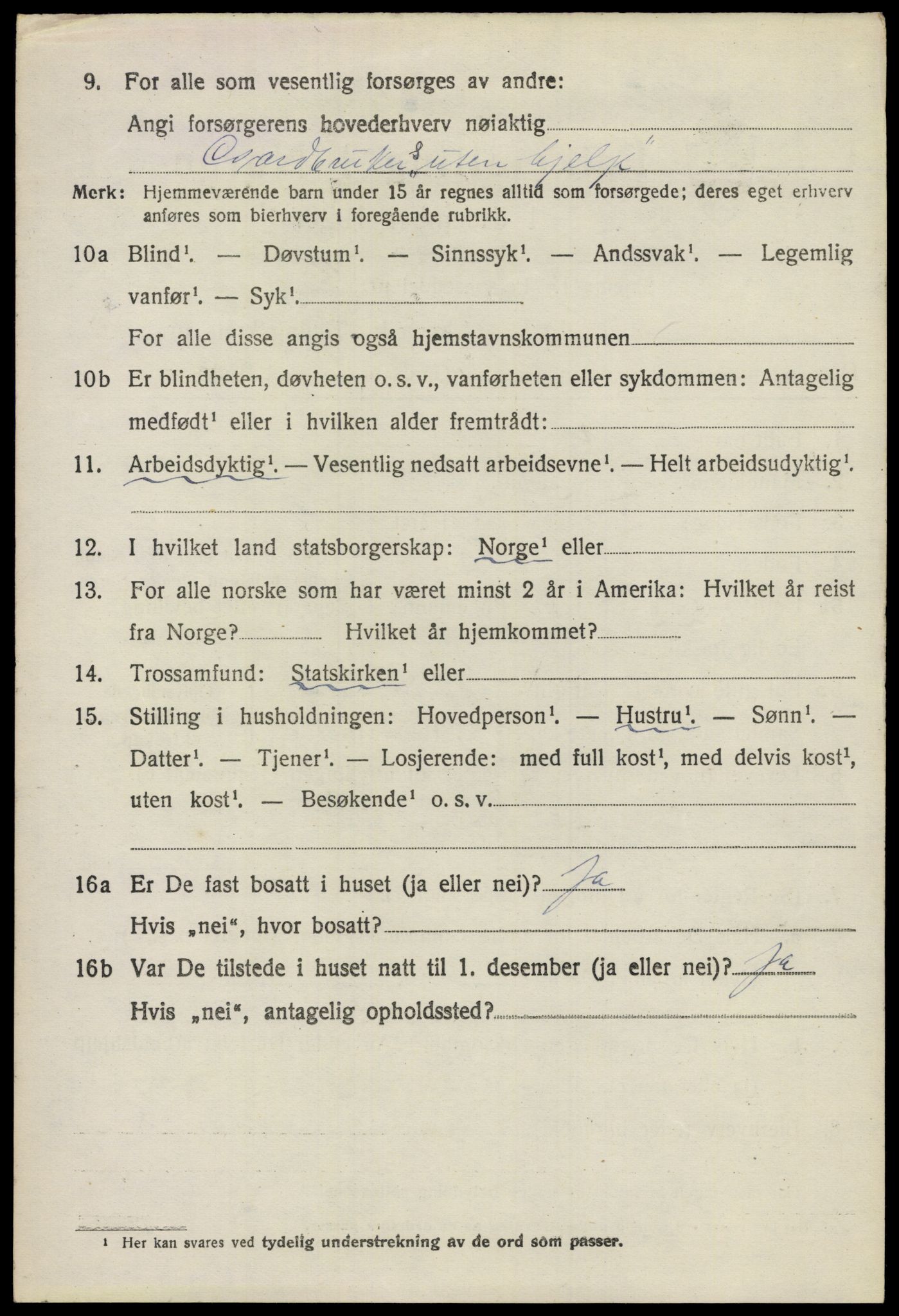 SAO, 1920 census for Nes, 1920, p. 6209