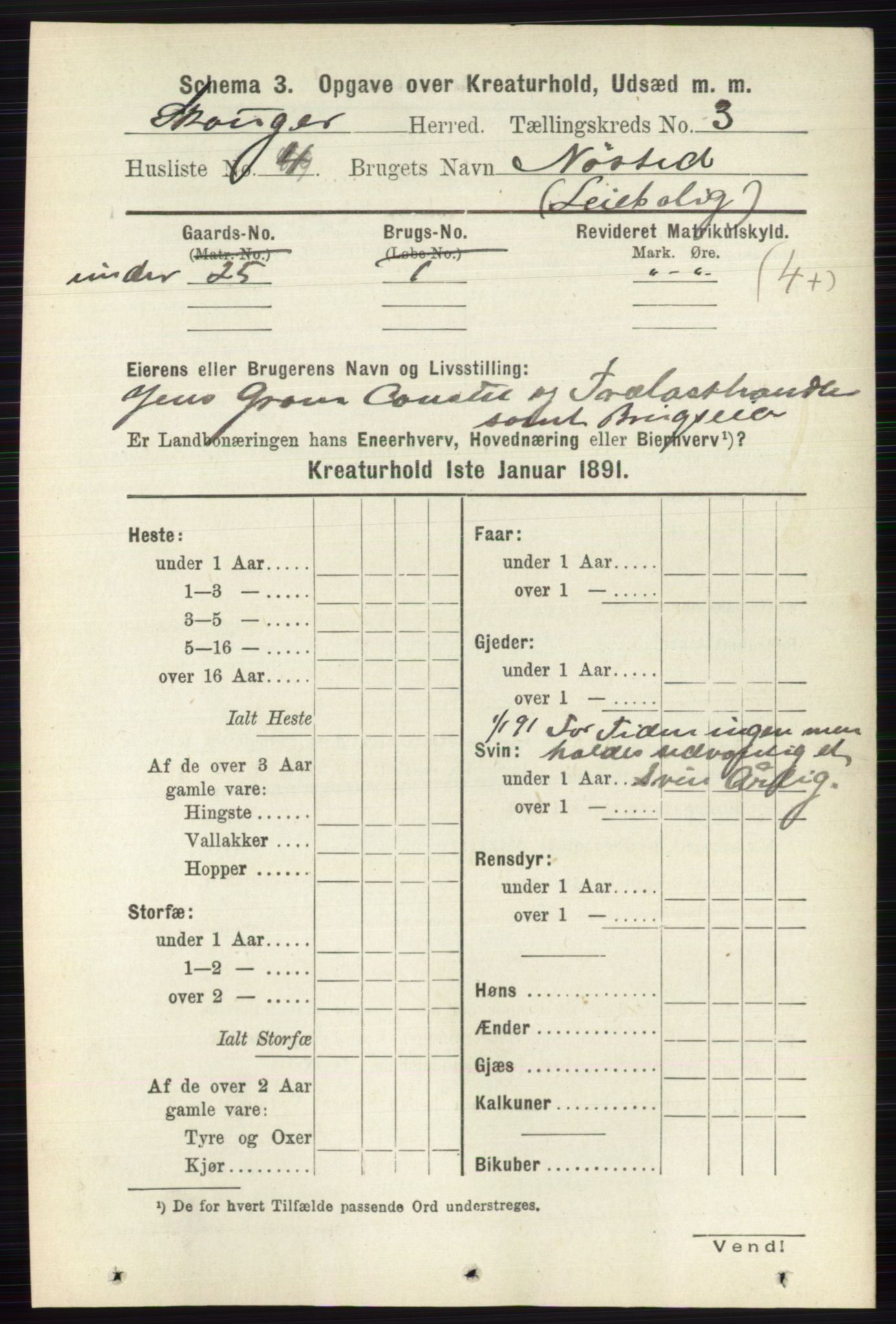 RA, 1891 census for 0712 Skoger, 1891, p. 4631