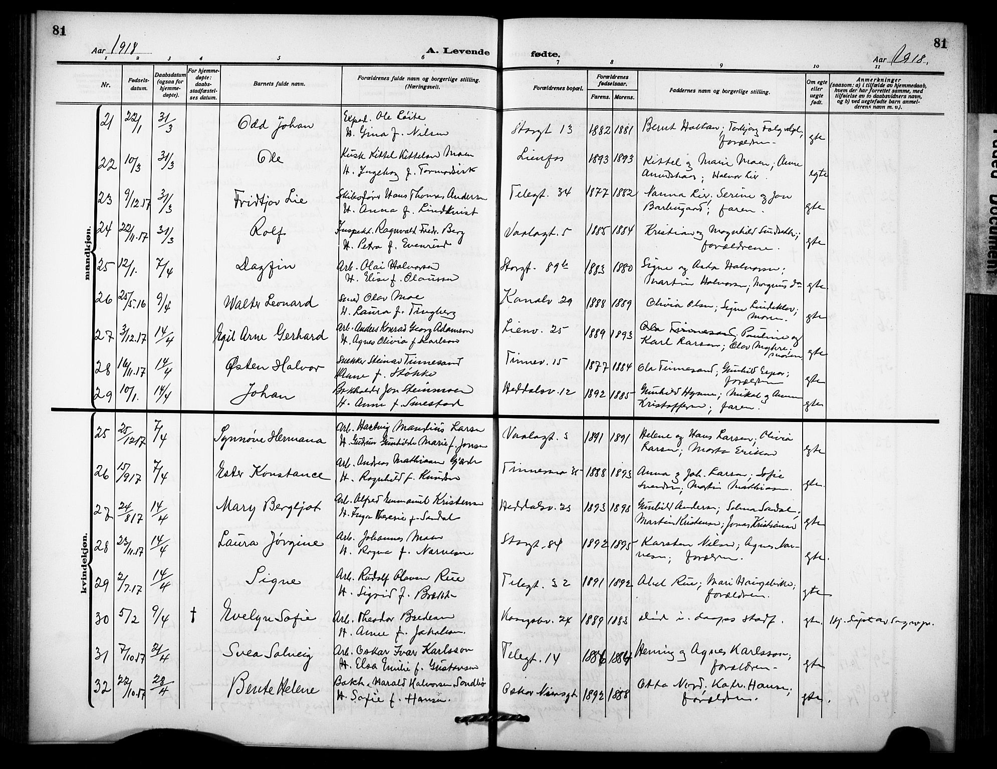 Notodden kirkebøker, AV/SAKO-A-290/G/Ga/L0001: Parish register (copy) no. 1, 1912-1923, p. 81