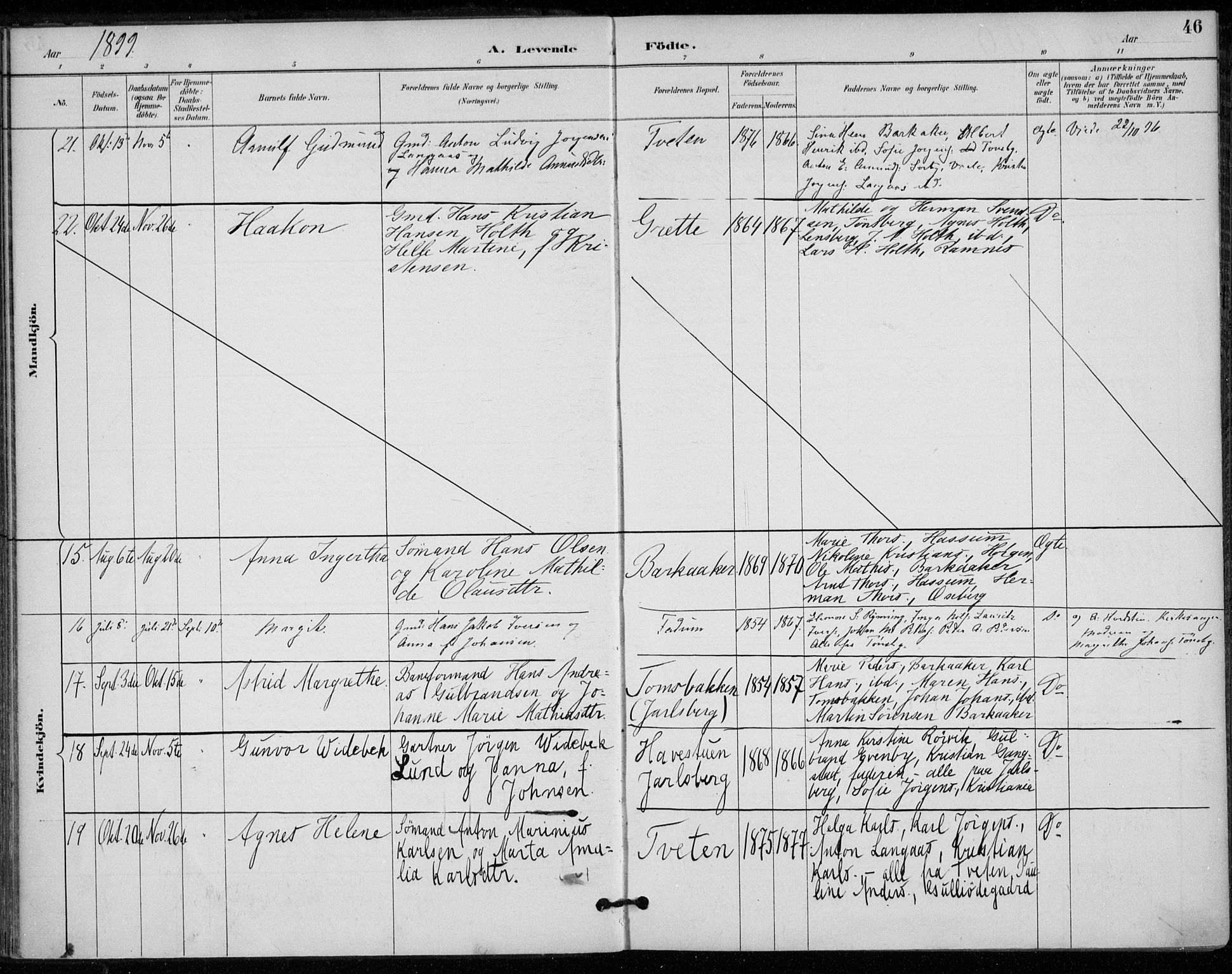 Sem kirkebøker, AV/SAKO-A-5/F/Fa/L0011: Parish register (official) no. I 11, 1888-1904, p. 46