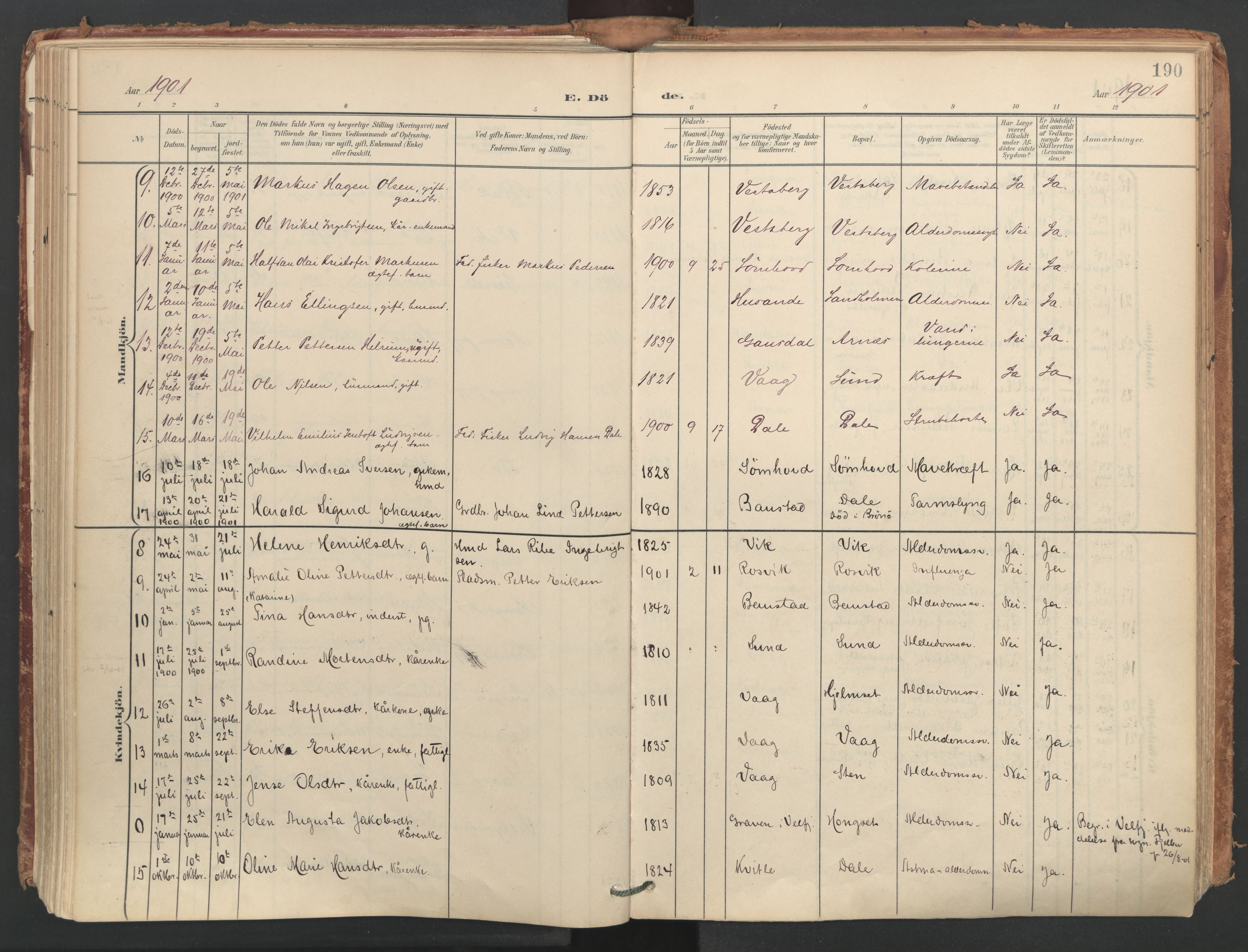 Ministerialprotokoller, klokkerbøker og fødselsregistre - Nordland, SAT/A-1459/812/L0180: Parish register (official) no. 812A09, 1901-1915, p. 190