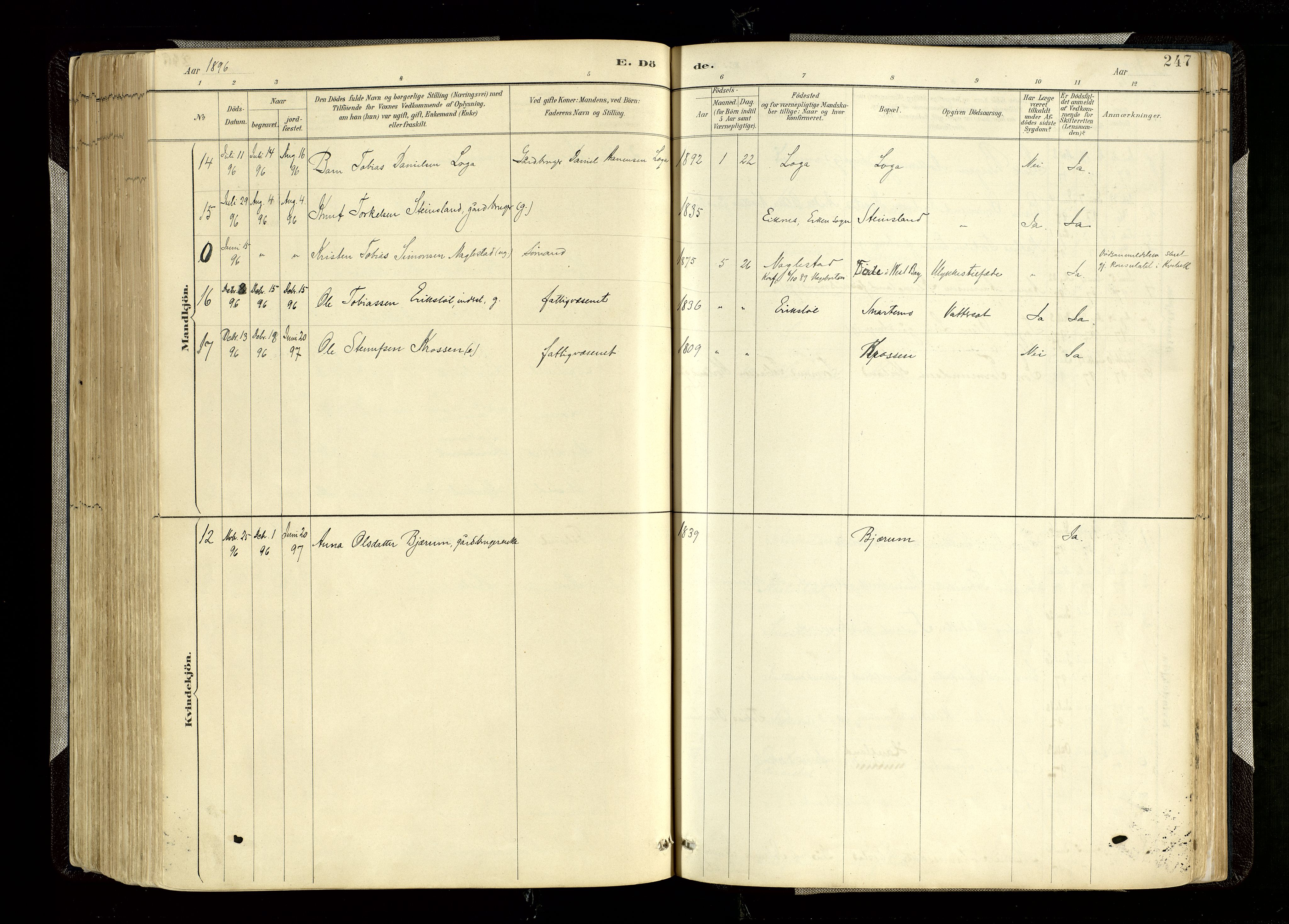 Hægebostad sokneprestkontor, AV/SAK-1111-0024/F/Fa/Faa/L0006: Parish register (official) no. A 6, 1887-1929, p. 247