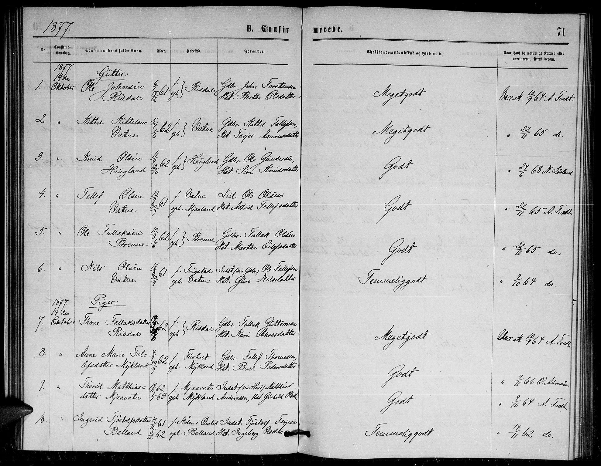 Herefoss sokneprestkontor, AV/SAK-1111-0019/F/Fa/Fac/L0001: Parish register (official) no. A 1, 1871-1886, p. 71