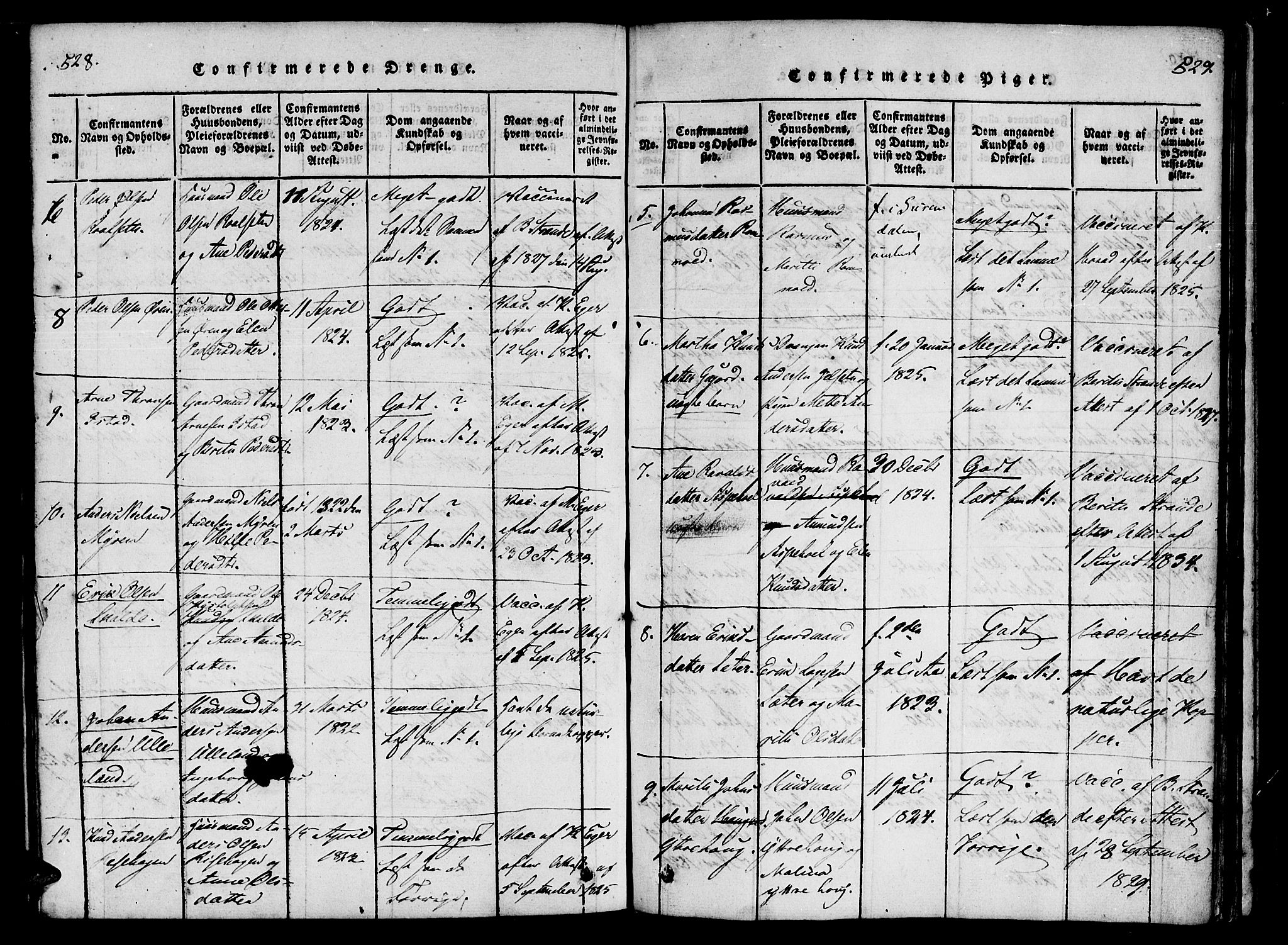 Ministerialprotokoller, klokkerbøker og fødselsregistre - Møre og Romsdal, AV/SAT-A-1454/557/L0679: Parish register (official) no. 557A01, 1818-1843, p. 528-529