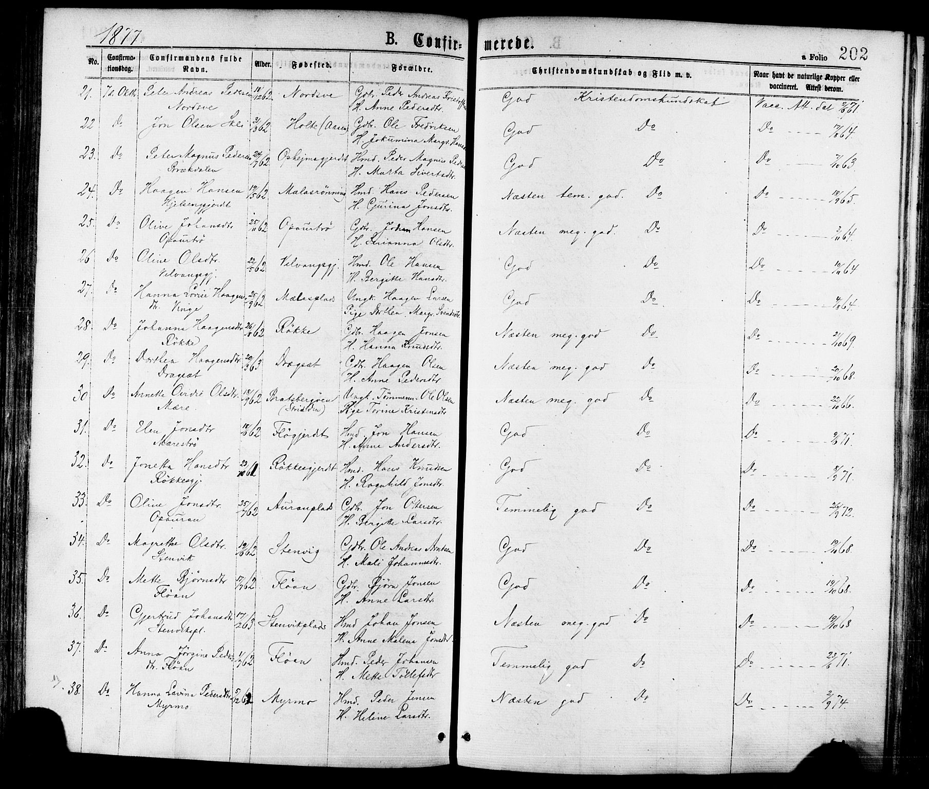 Ministerialprotokoller, klokkerbøker og fødselsregistre - Nord-Trøndelag, AV/SAT-A-1458/709/L0076: Parish register (official) no. 709A16, 1871-1879, p. 202