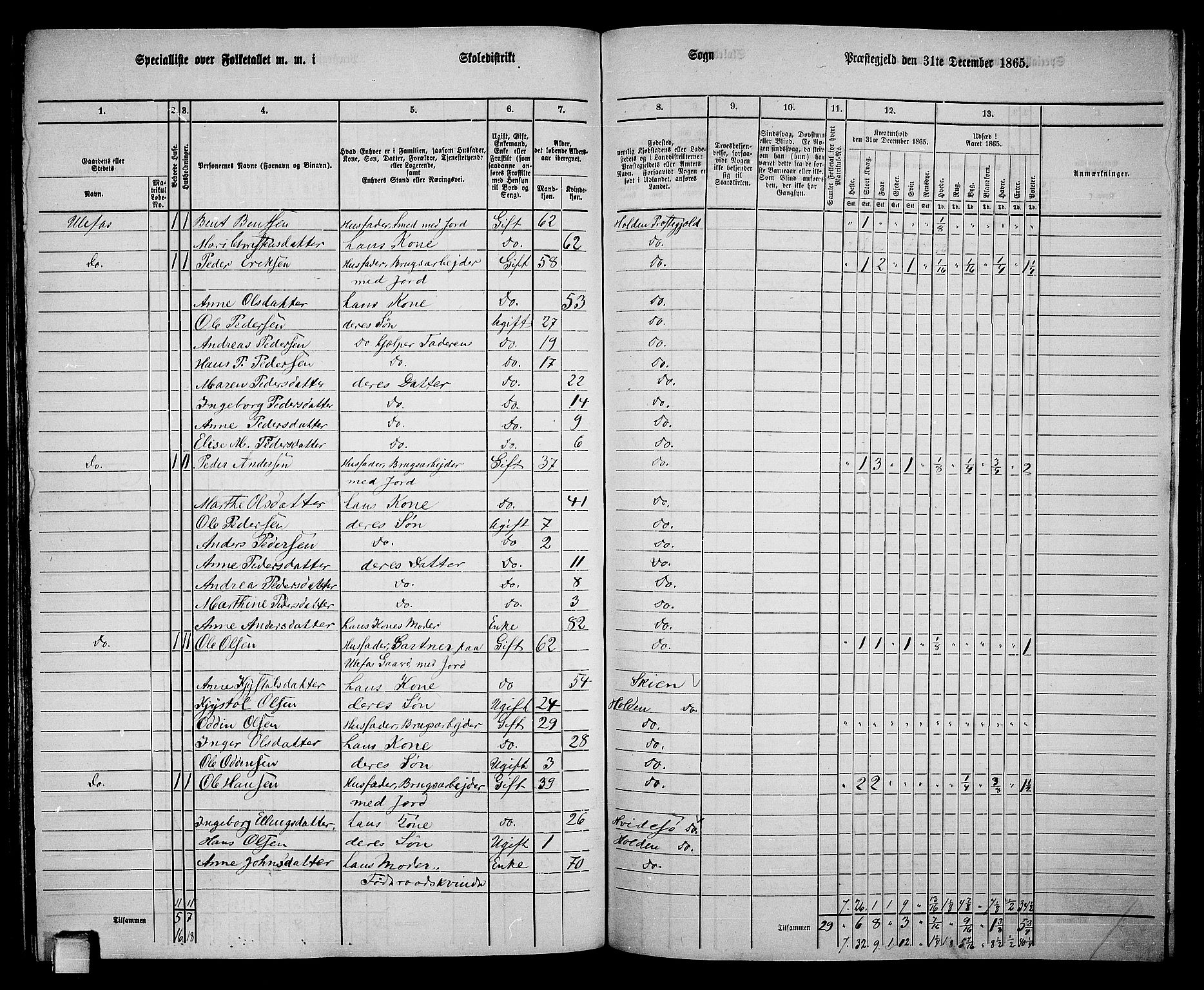 RA, 1865 census for Holla, 1865, p. 135