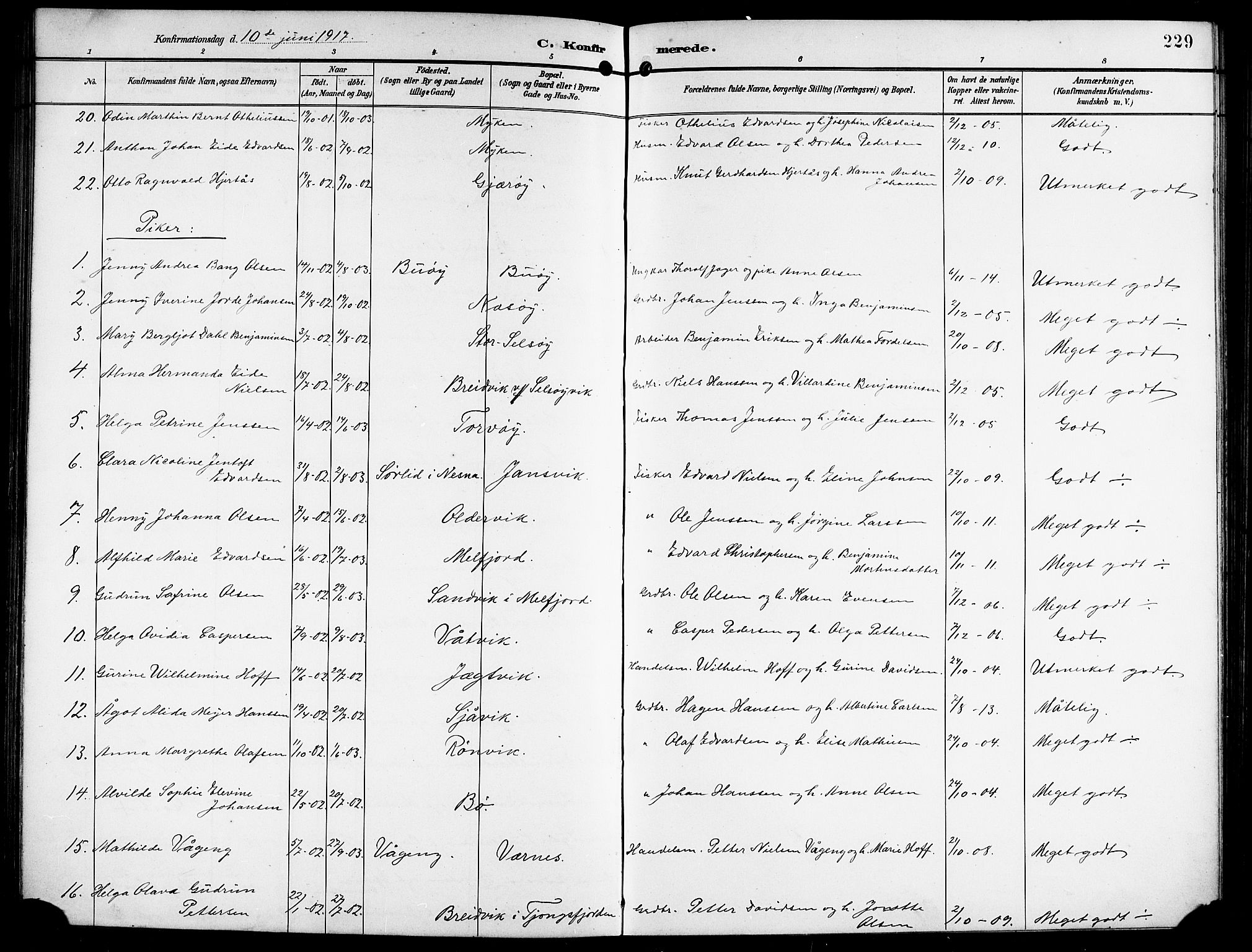 Ministerialprotokoller, klokkerbøker og fødselsregistre - Nordland, AV/SAT-A-1459/841/L0621: Parish register (copy) no. 841C05, 1897-1923, p. 229