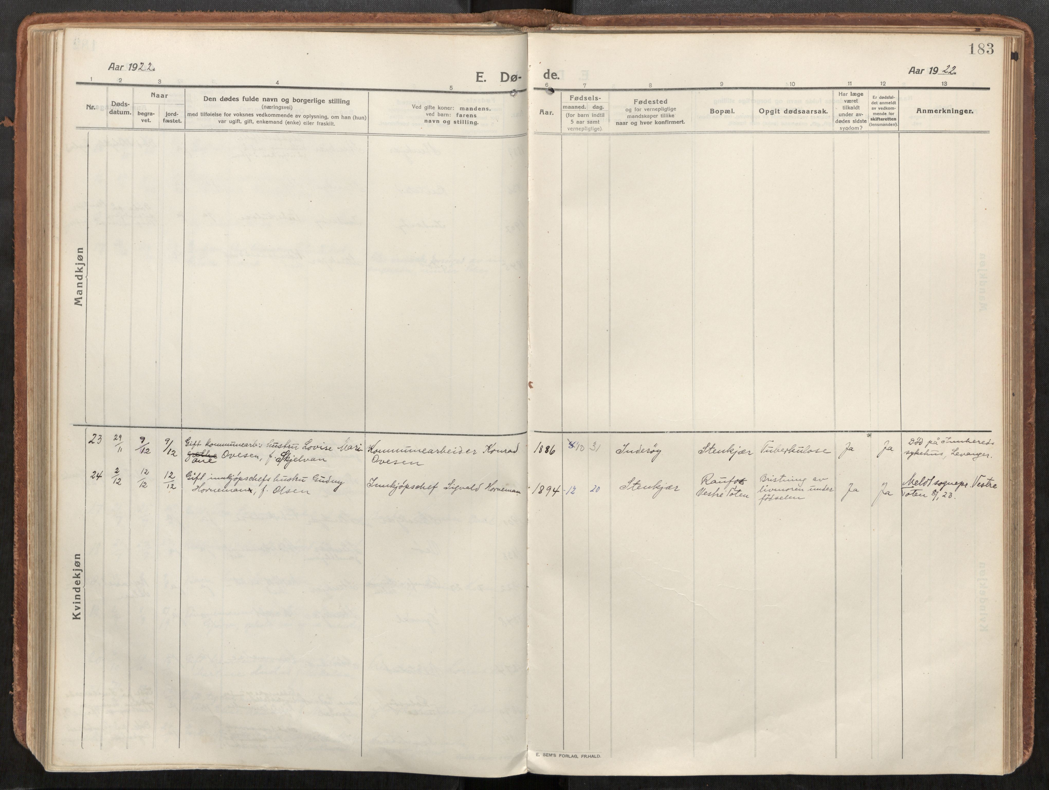 Steinkjer sokneprestkontor, AV/SAT-A-1541/01/H/Ha/Haa/L0003: Parish register (official) no. 3, 1913-1922, p. 183