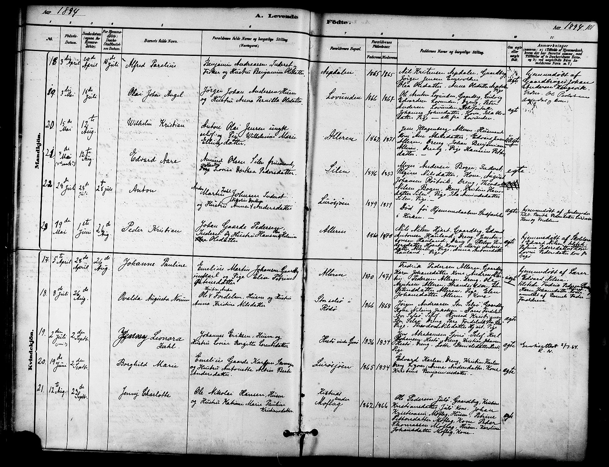 Ministerialprotokoller, klokkerbøker og fødselsregistre - Nordland, SAT/A-1459/839/L0568: Parish register (official) no. 839A05, 1880-1902, p. 101