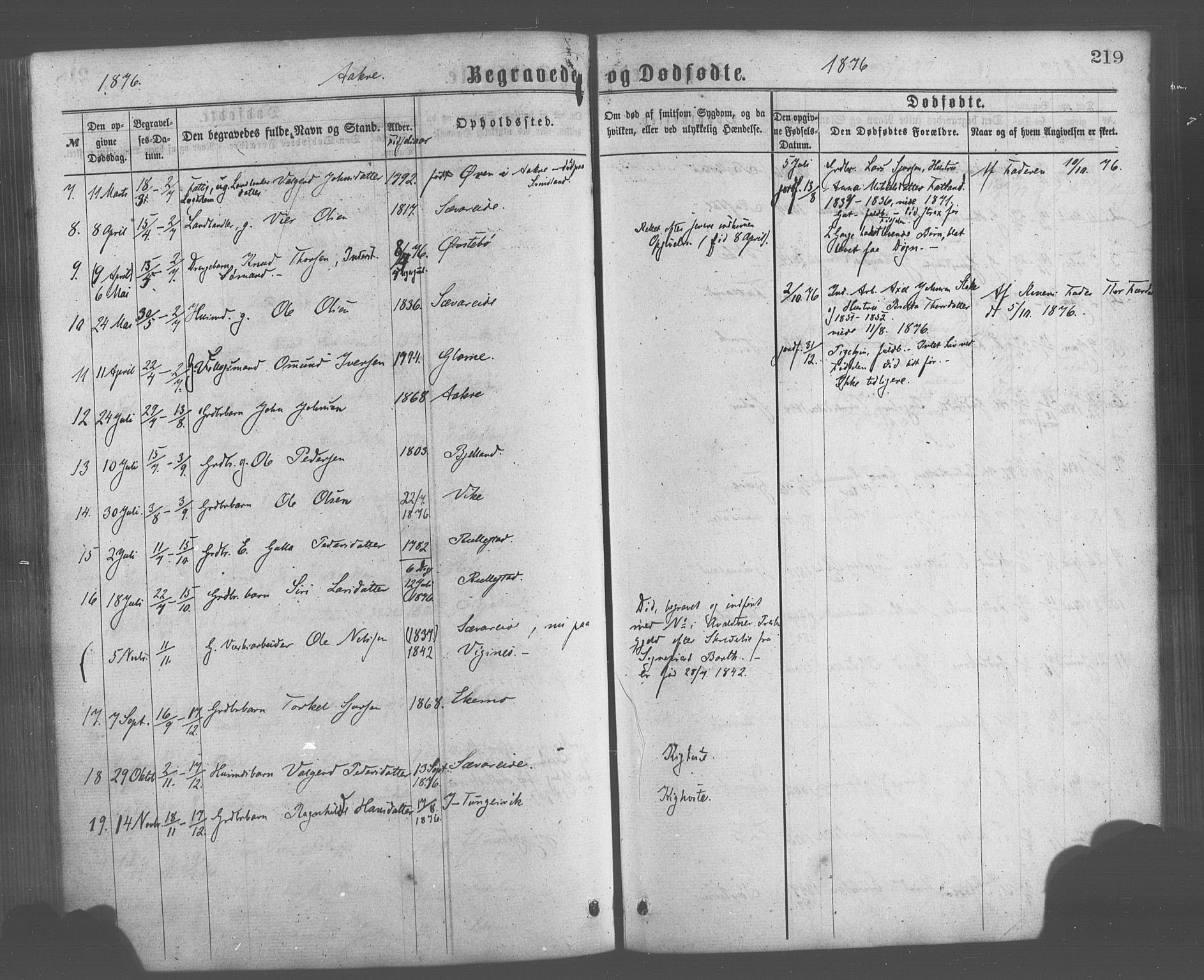 Skånevik sokneprestembete, AV/SAB-A-77801/H/Haa: Parish register (official) no. A 6, 1869-1878, p. 219