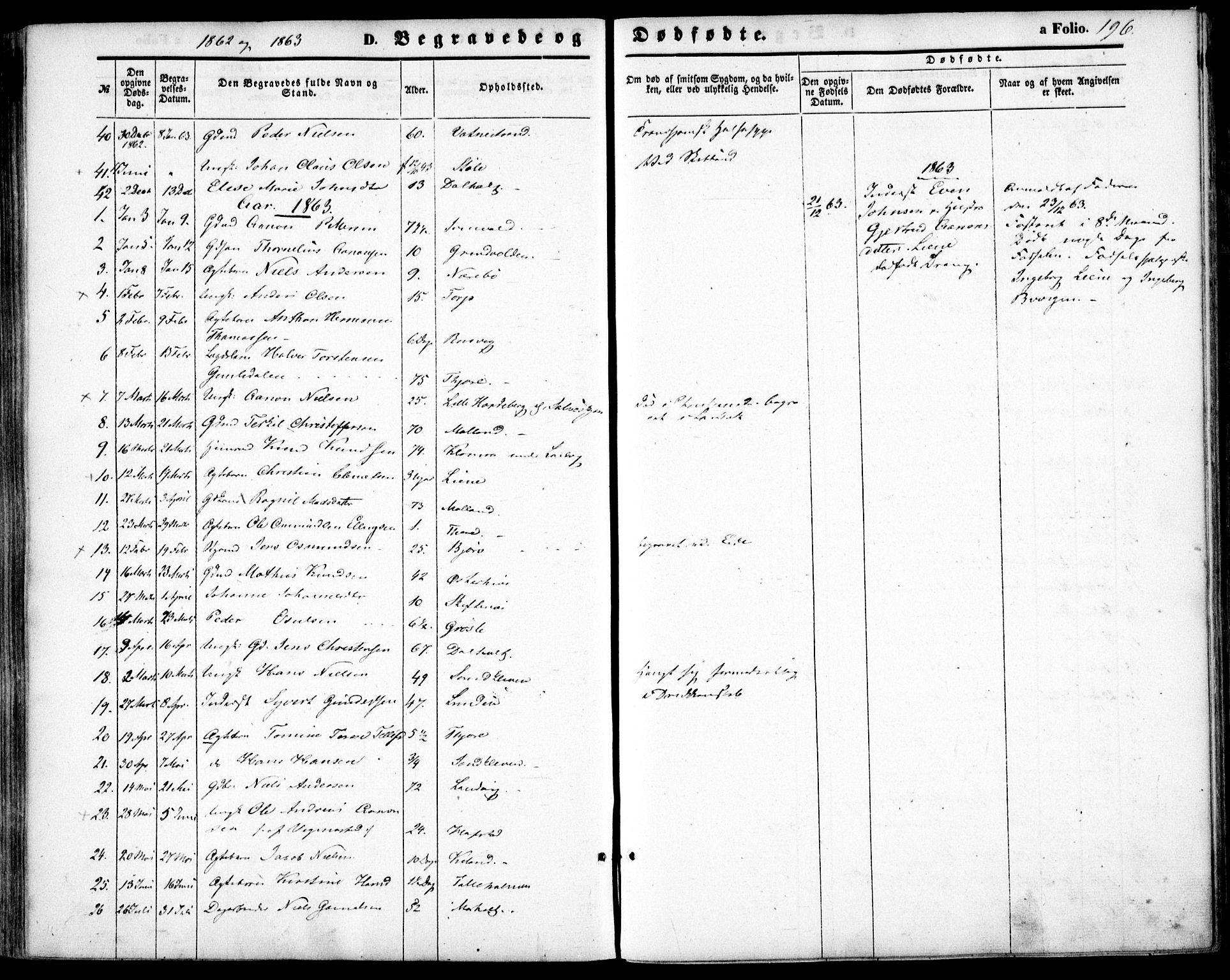 Hommedal sokneprestkontor, AV/SAK-1111-0023/F/Fa/Fab/L0005: Parish register (official) no. A 5, 1861-1877, p. 196