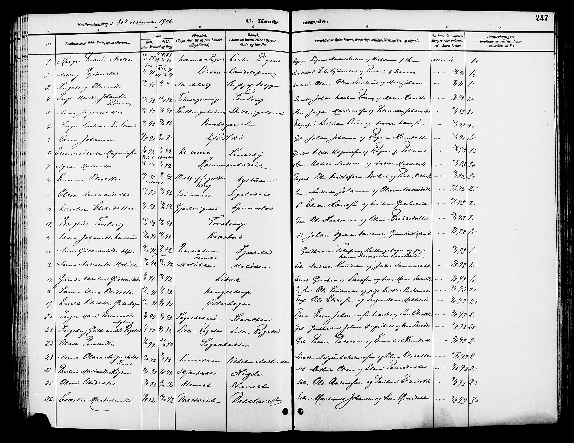 Løten prestekontor, AV/SAH-PREST-022/L/La/L0006: Parish register (copy) no. 6, 1892-1909, p. 247